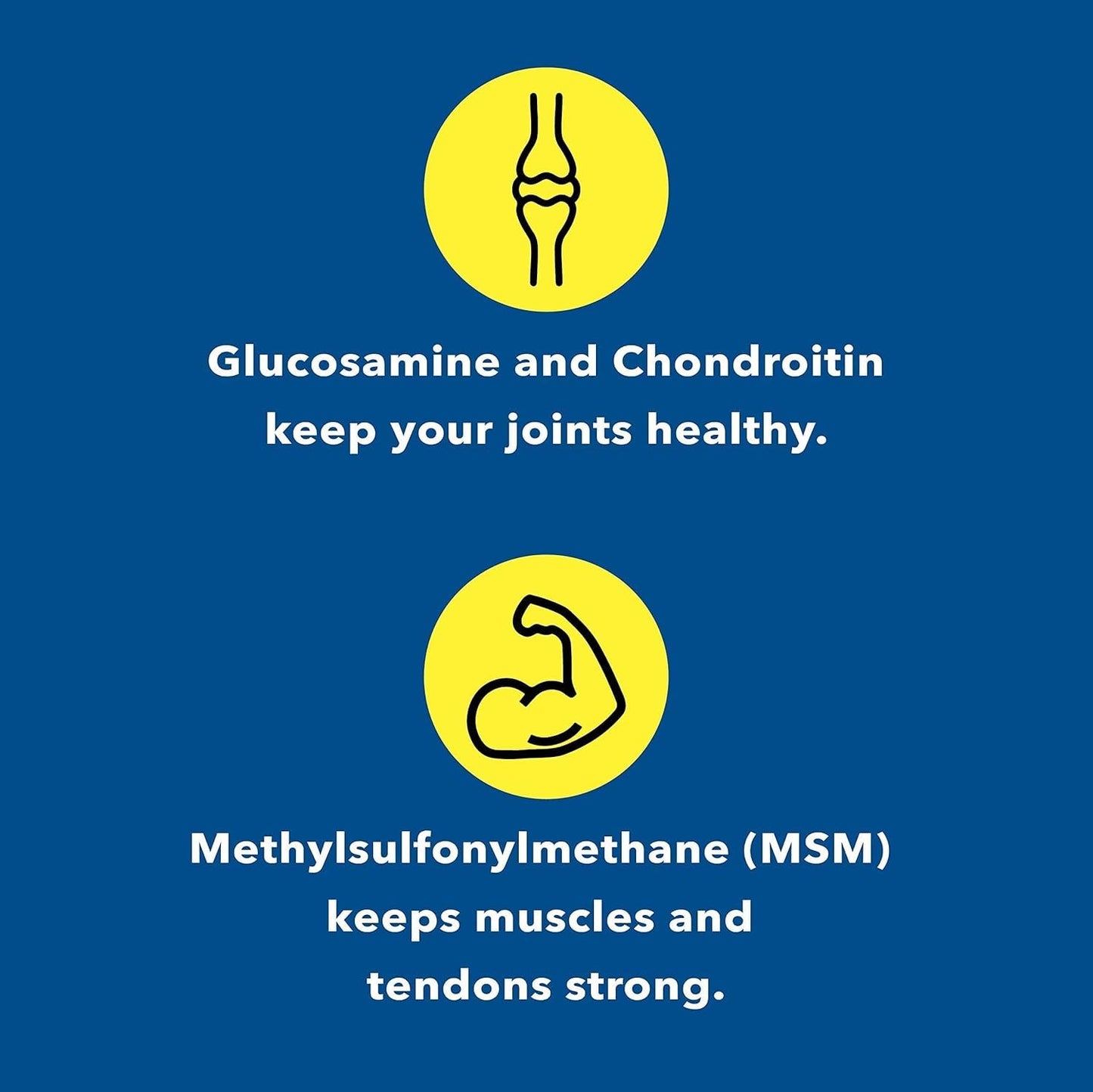 Healthy Joints System Glucosamine Chondroitin MSM Supplement for Joint & Bone Health 120 Capsules