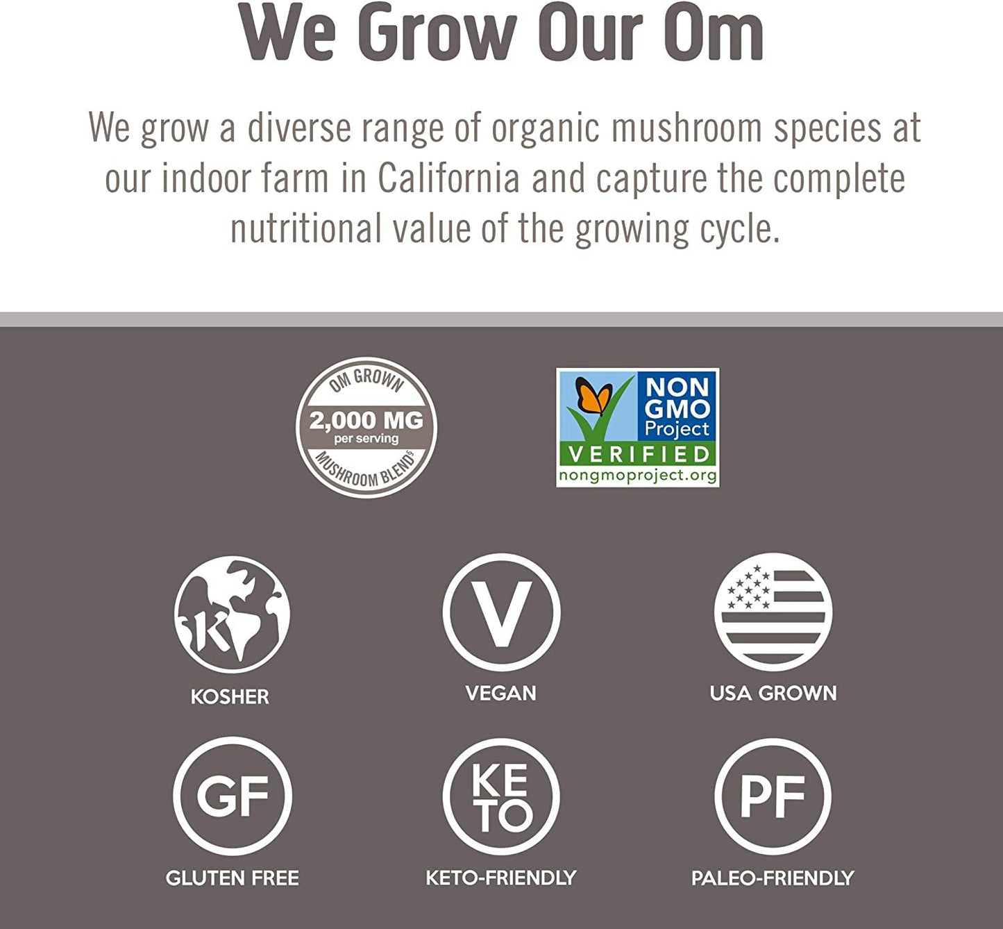 OM MUSHROOM SUPERFOOD Organic Chaga Mushroom Superfood Powder 2.12 Ounce