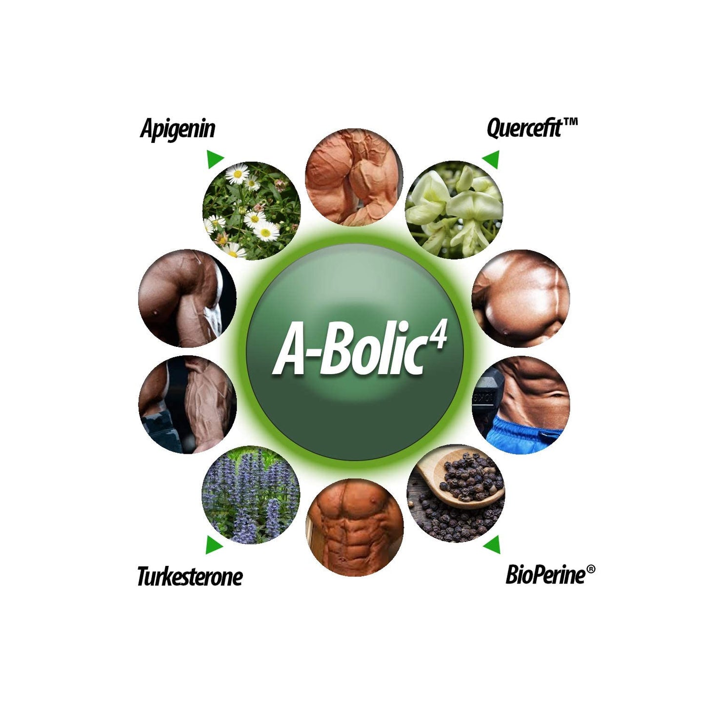 THE LAB A-Bolic4 Advanced Anabolic Boost Supplement Capsule 120