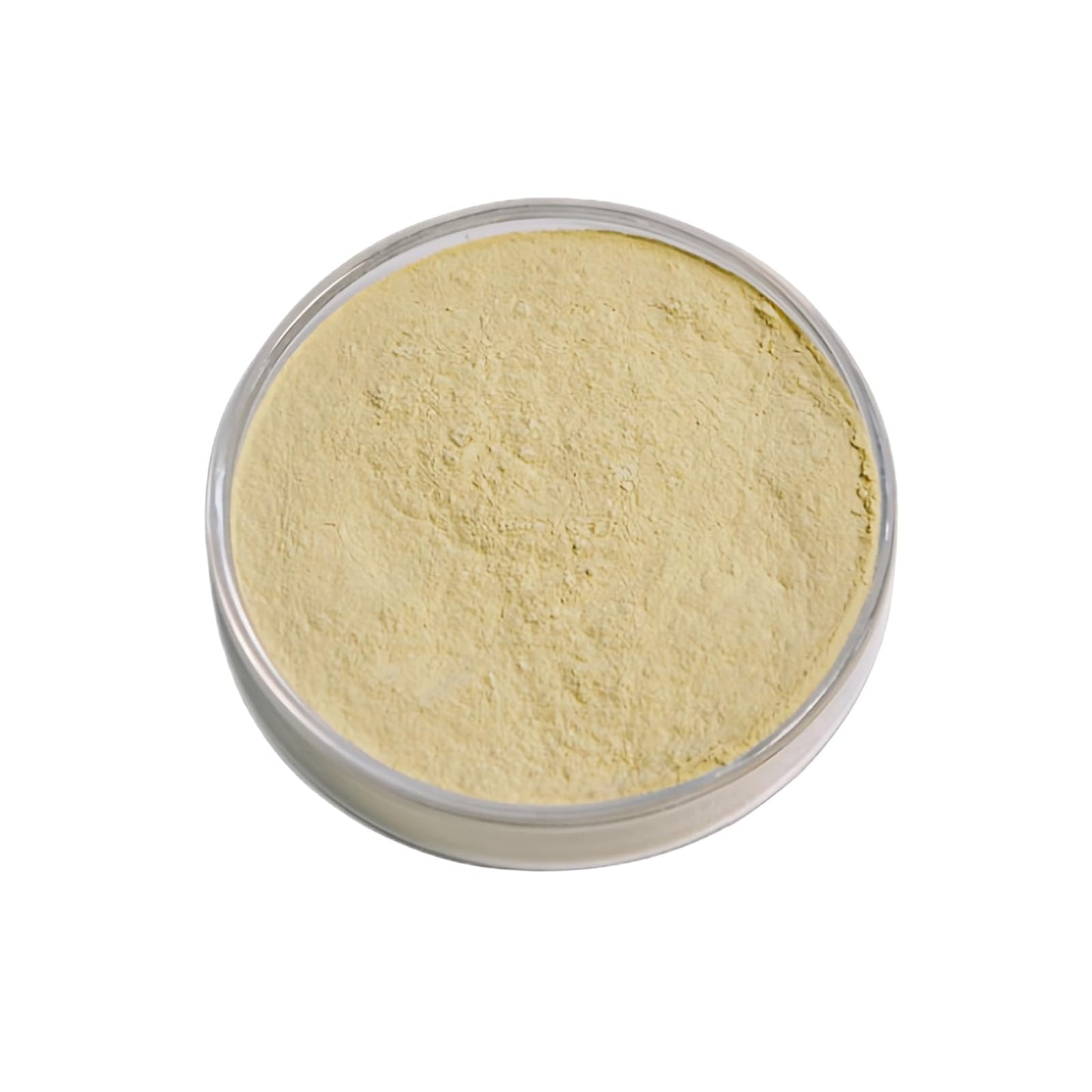 HealthyFinds Urolithin A Powder 0.7 Ounce