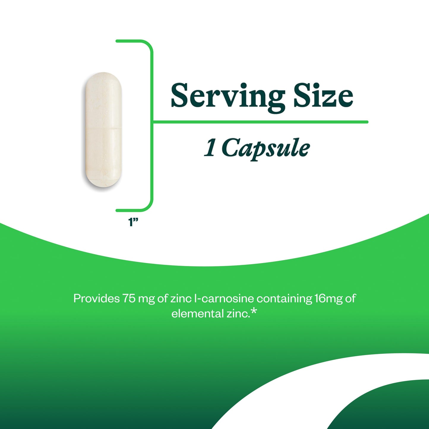 Seeking Health Zinc Carnosine Capsule 60 Capsules