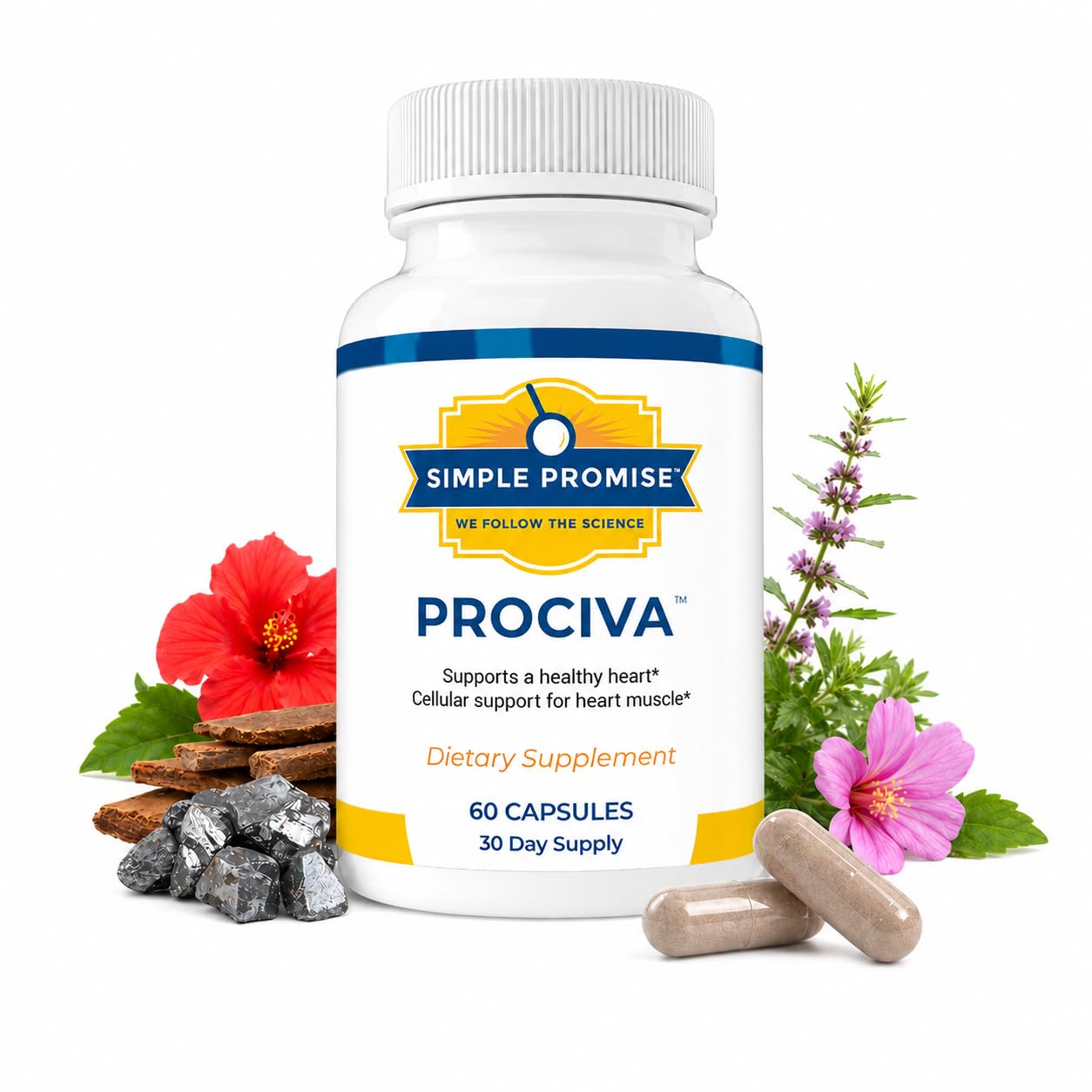 Simple Promise Prociva Arjuna Bark Extract Heart Health Supplement with Folic Acid, Vitamin D & Magnesium Capsules, 60 Count