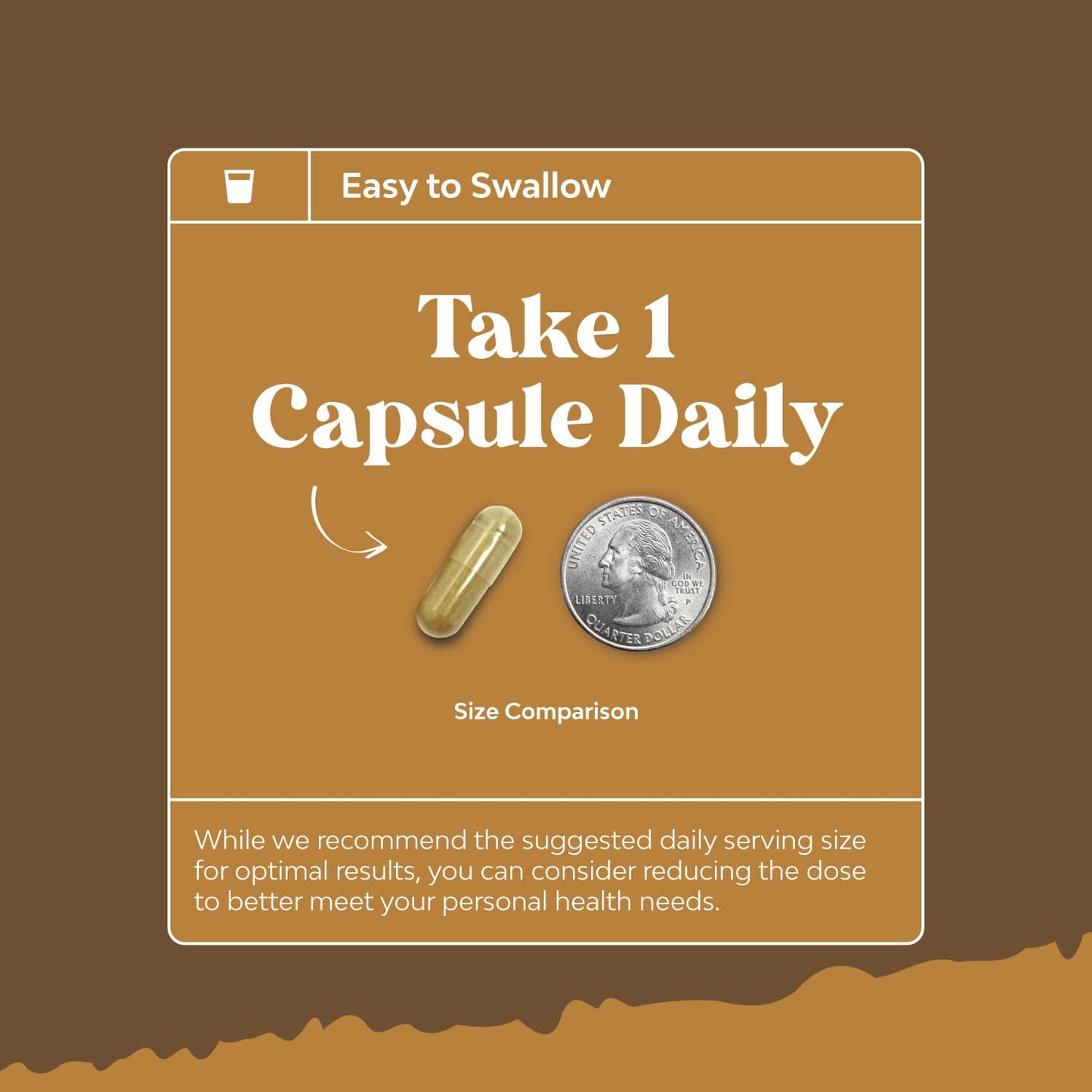 Natures Craft Lion's Mane Mushroom Supplement Capsule 120 Count