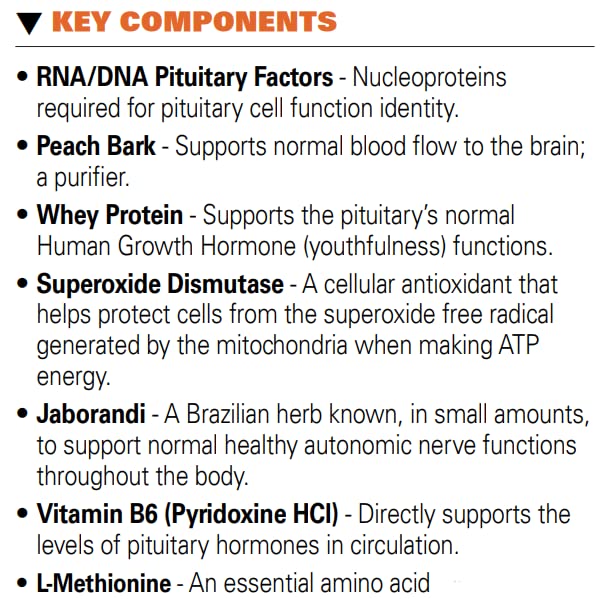 Systemic Formulas #32 Bio Function Gb Pituitary/Pineal 60 Capsules