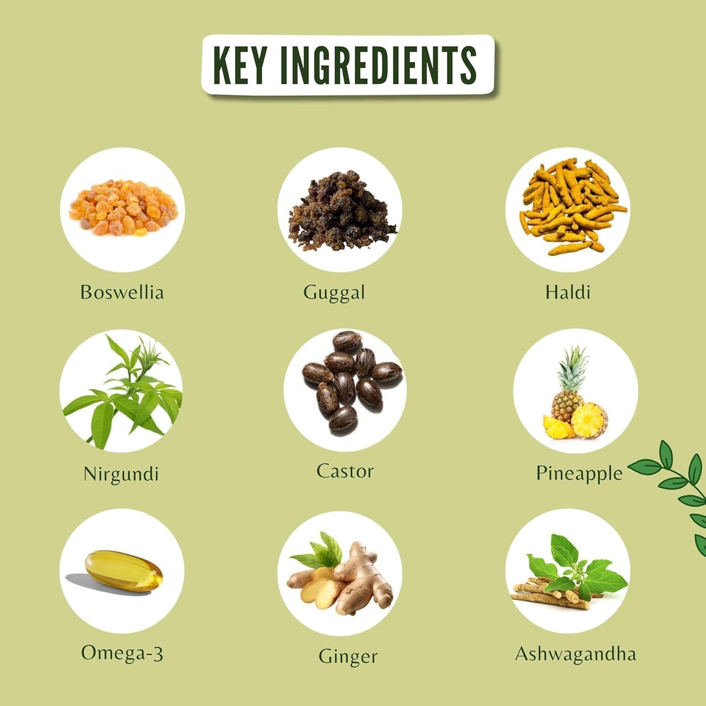 AYURVEDASHREE Ortho Vatika Caplets 60