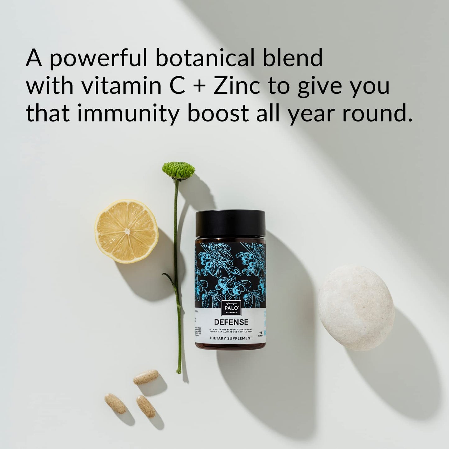 PALO Defense Wellness Formula Vitamins & Herbal Blend Immune System Support with Elderberry, Vitamin C, Zinc, Echinacea, Astragalus, Andrographis, 90 Tablets