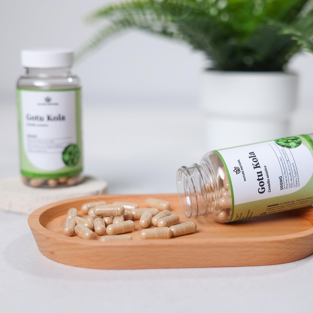 Nature Restore Gotu Kola Extract Supplement, 90 Capsules