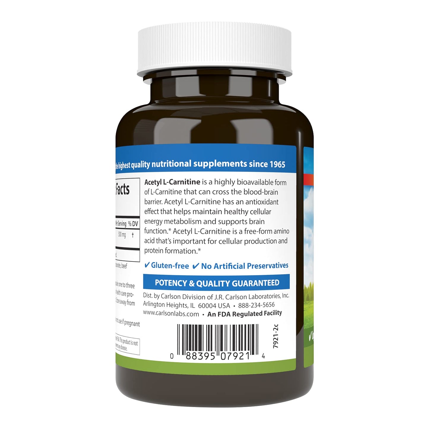 Carlson Acetyl L-Carnitine 500mg Capsule, 120 Capsules