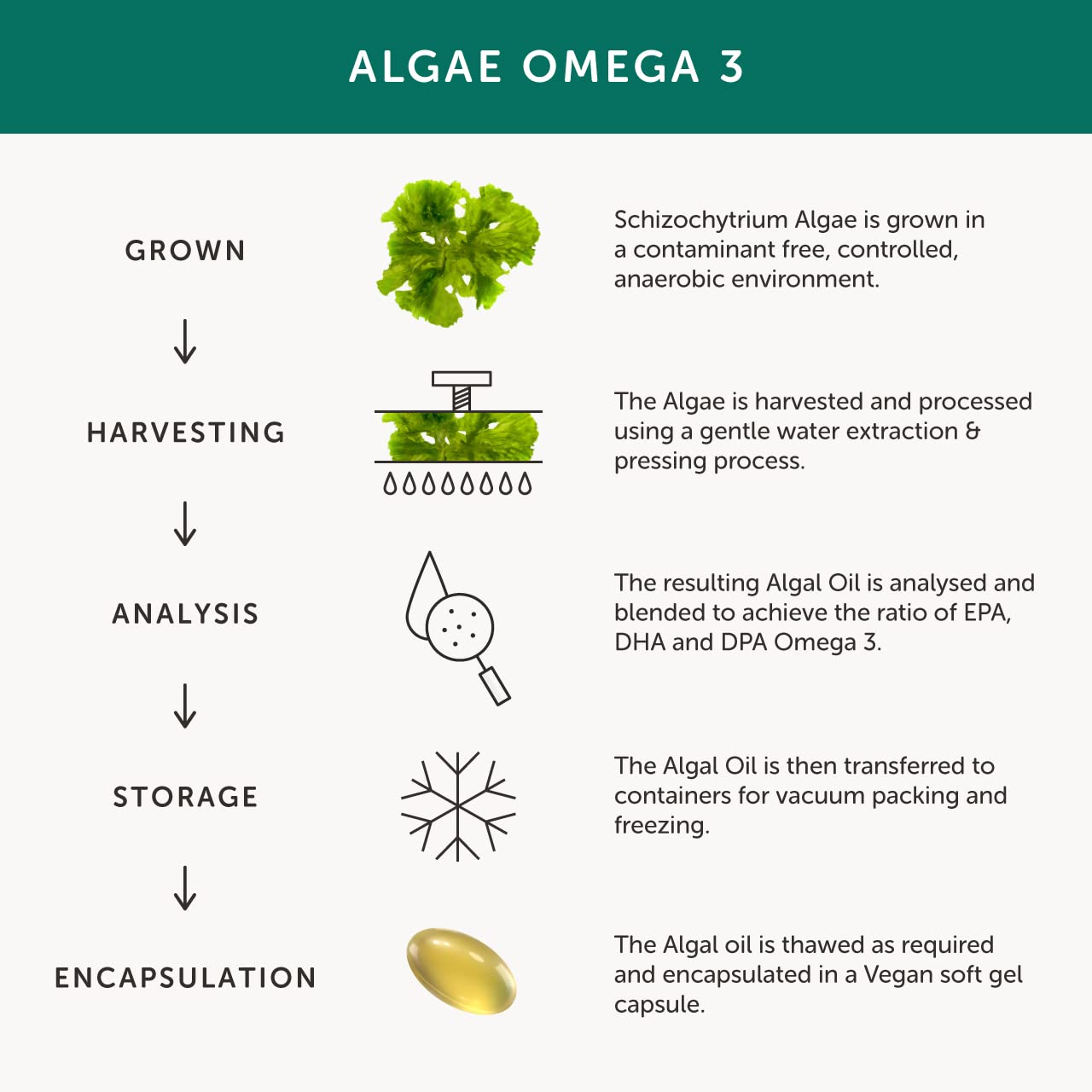 Together Omega-3 Softgels, 30