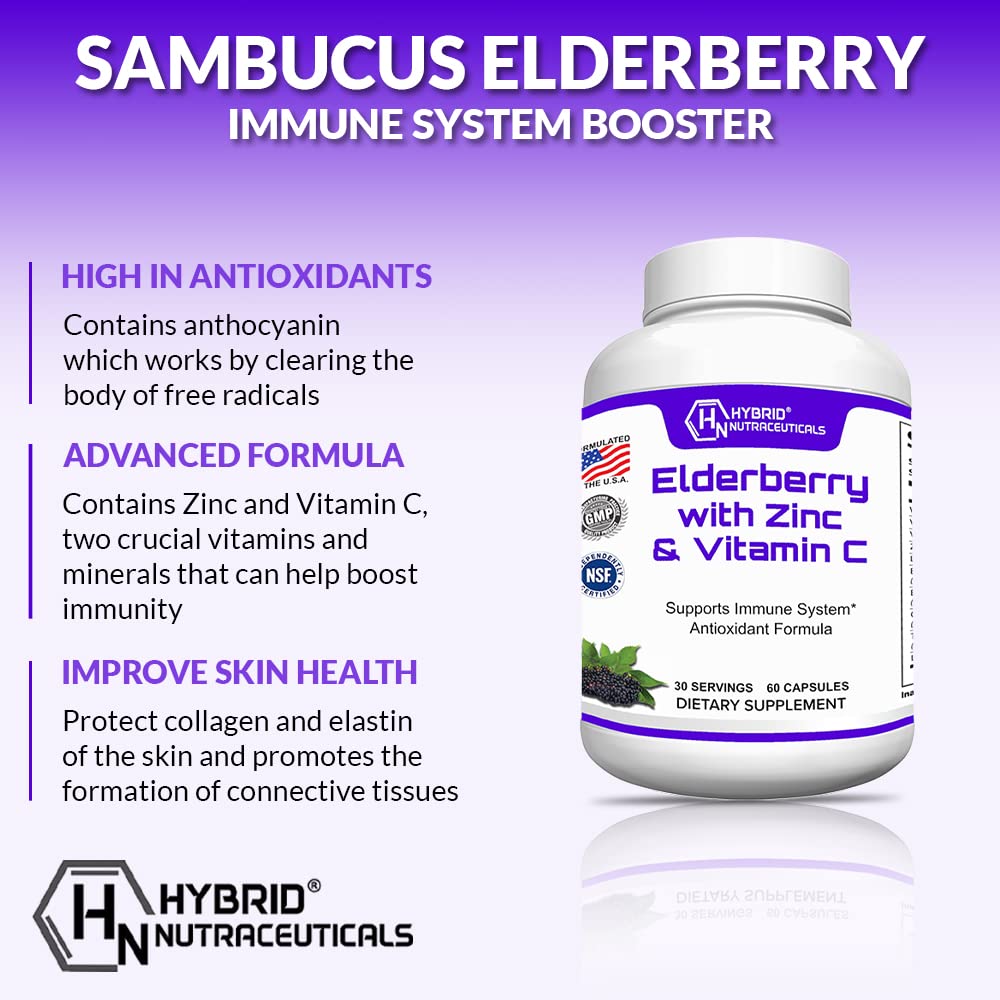 Hybrid Nutraceuticals Black Elderberry Capsules with Echinacea, Turmeric, Garlic, Zinc, Vitamins C, E and B6, Probiotics and L-Glutamine, 60 Capsules