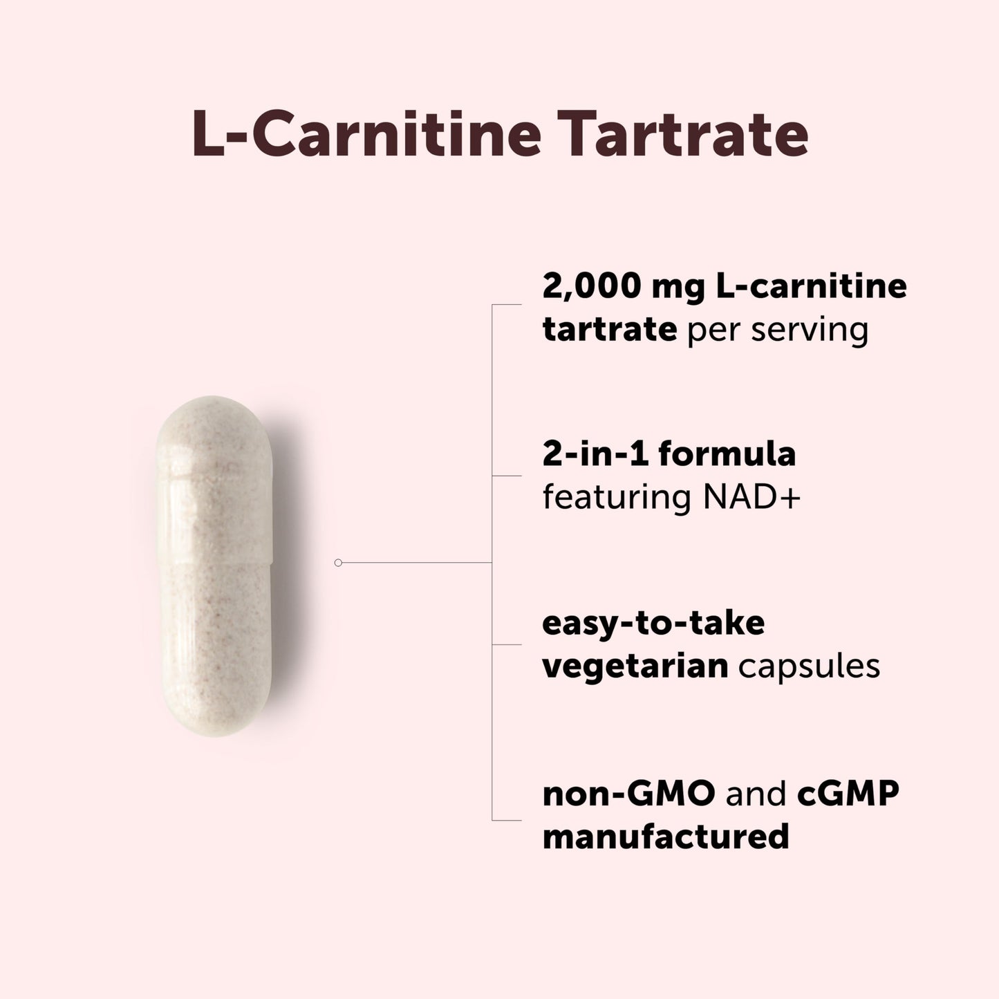 Micro Ingredients L-Carnitine Tartrate 2,000 mg Capsules, 240 Count