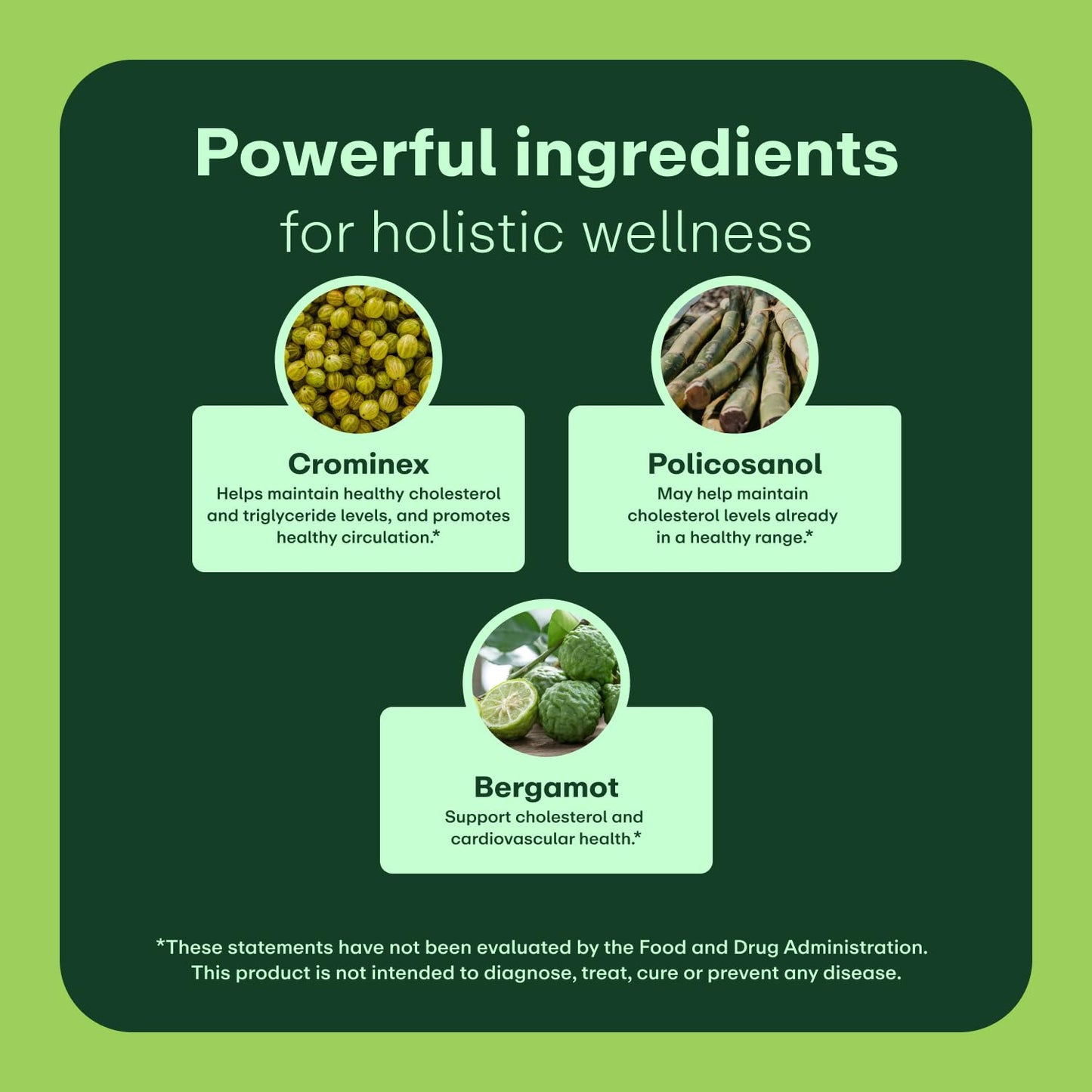 WellWithAll Cholesterol Support Supplement Capsule 60 Capsules