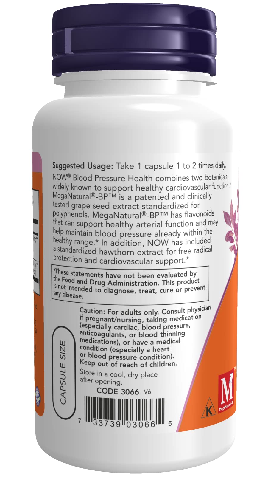 NOW Foods Blood Pressure Health Capsule 1 Count