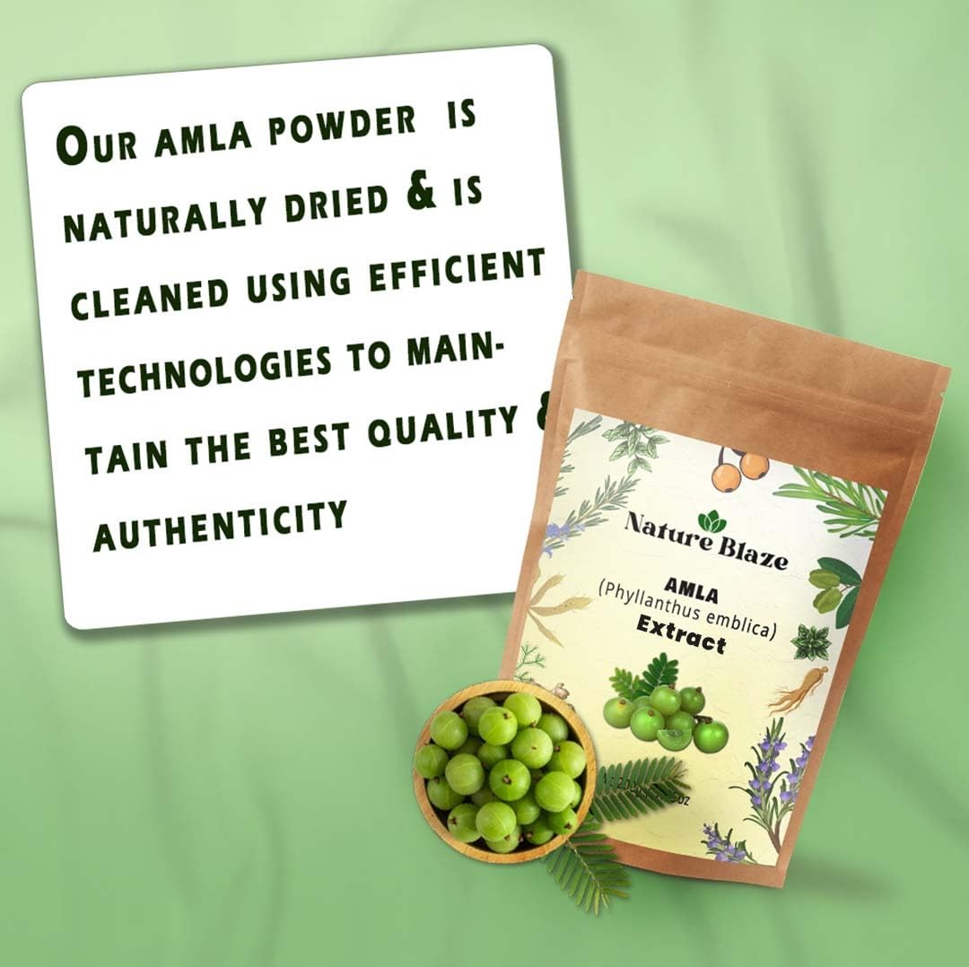 Nature Blaze Amla Extract Powder 4 Oz