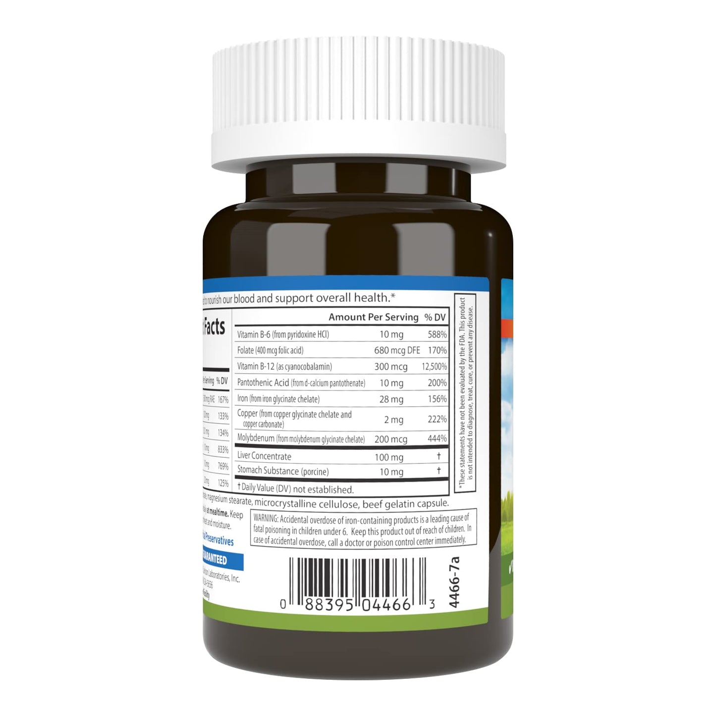 Carlson Blood Nutrients 28 mg Iron, Blood Development, Iron Absorption & Optimal Wellness, 40 Capsules