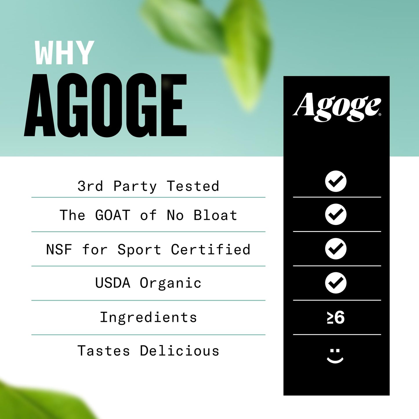 Agoge USDA Organic Hemp Protein Powder Matcha Flavor, 20 Servings