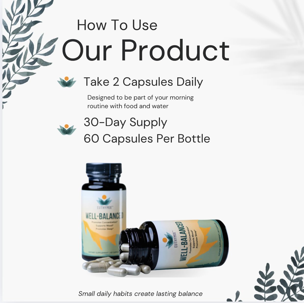 Euthymix Well Balanced 60 Capsules