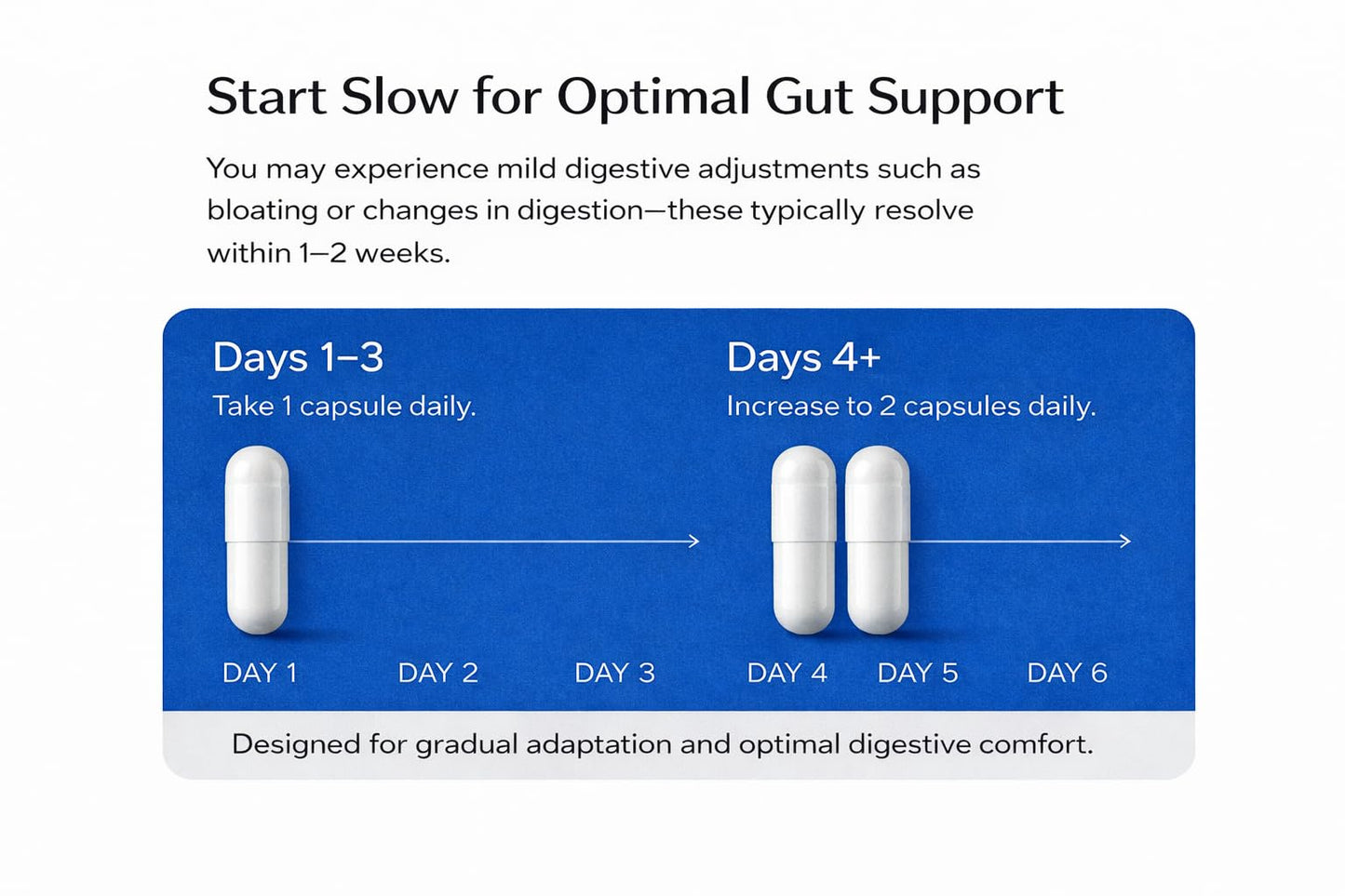NUTRIVIBE LABS 6-in-1 Gut Health 70 Billion CFU Probiotics, Prebiotics, Postbiotics with Enzymes & L-Glutamine, Supports Digestive & Immune Health, Occasional Gas & Bloating, 60 Capsules