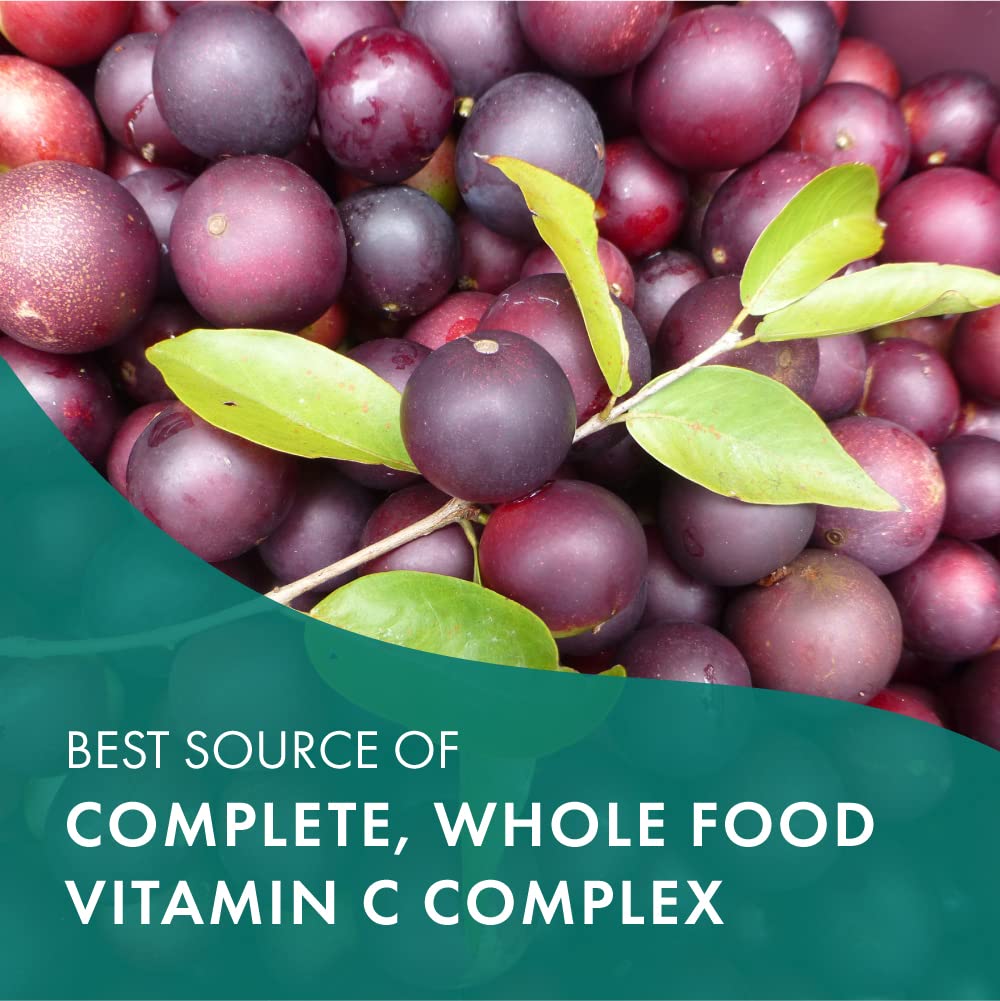 PURE ESSENCE LABS Whole-C Whole Food Vitamin C Tablet, 30 Tablets