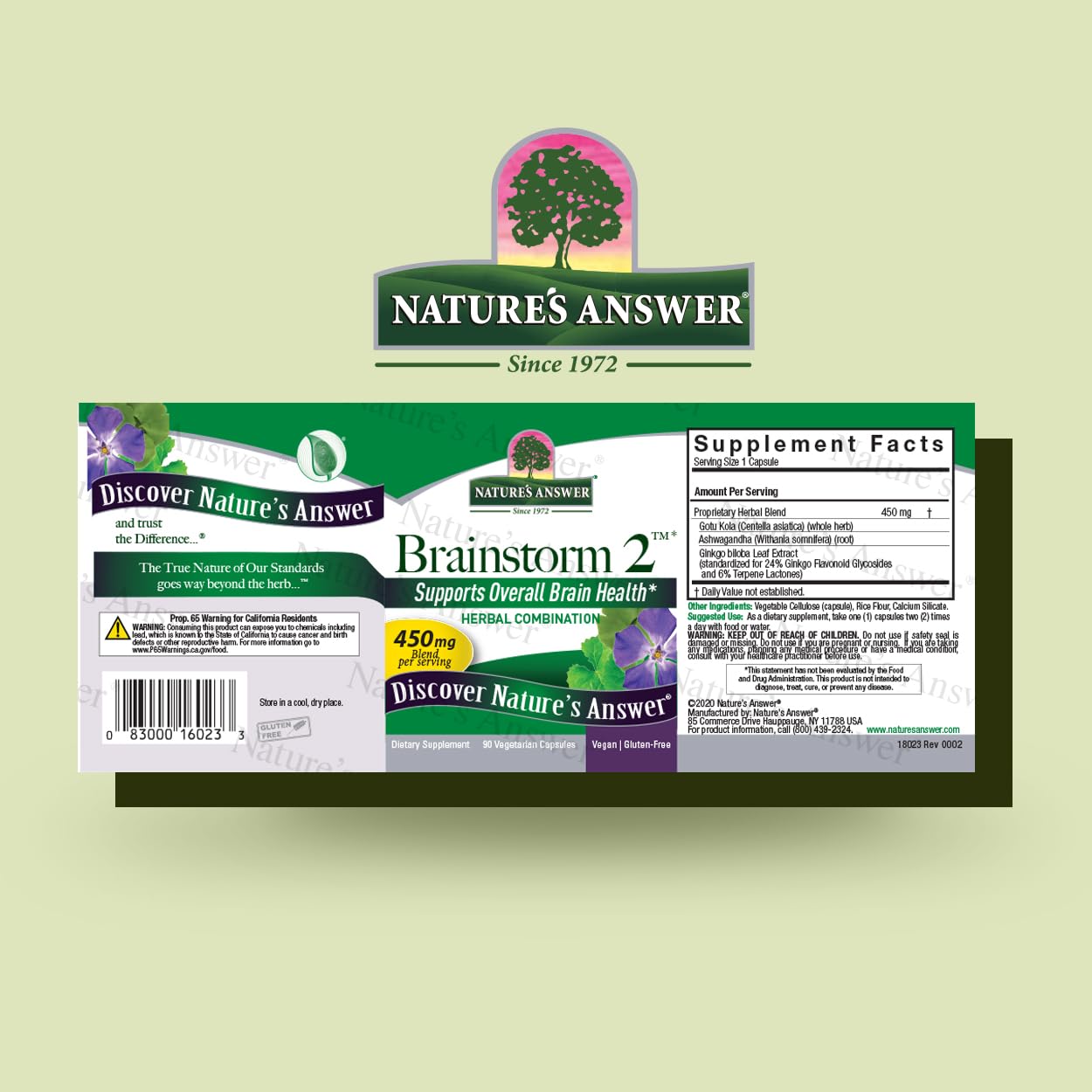Nature's Answer Brainstorm 2 Vegetarian Capsules, 90 Capsules