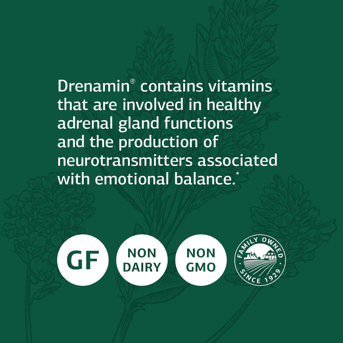 Standard Process Inc. Drenamin Tablet 360