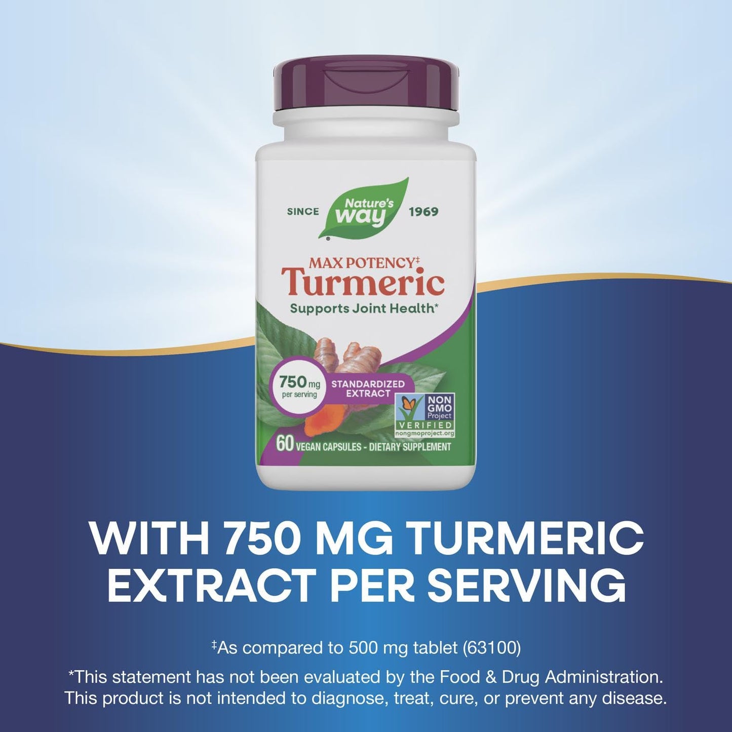 Nature's Way Max Potency Turmeric Premium Extract Capsules, 60 Count