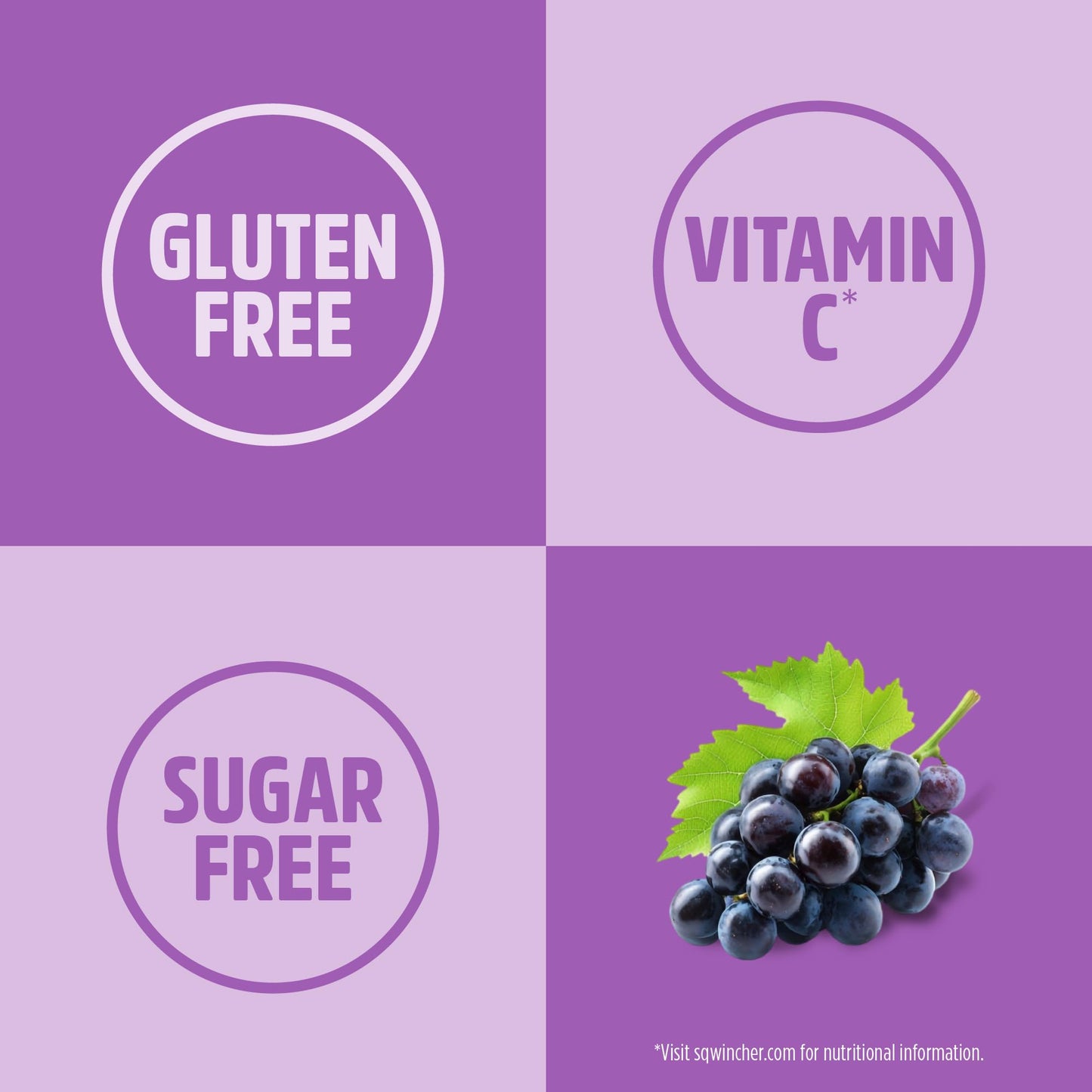 Sqwincher Qwik Stik Sugar Free Grape Powder 5.5 oz