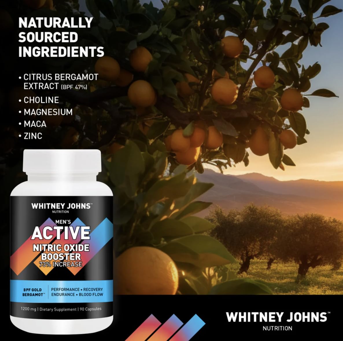 Whitney Johns Men's Active Nitric Oxide & Blood Flow Support Supplement 90 Capsules
