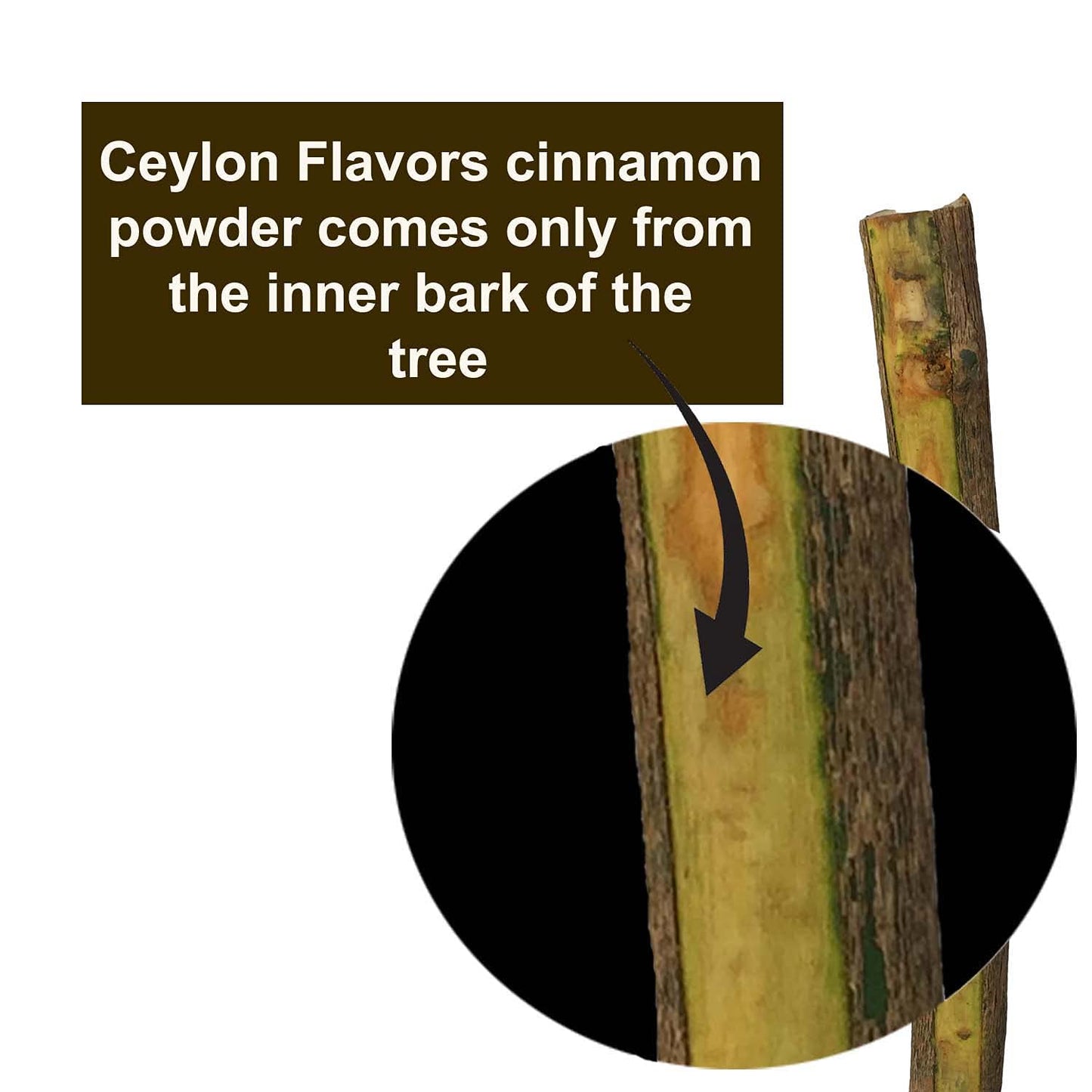CEYLONFLAVORS FRESH AND PURE Organic Ceylon Cinnamon Powder, 3.5 oz