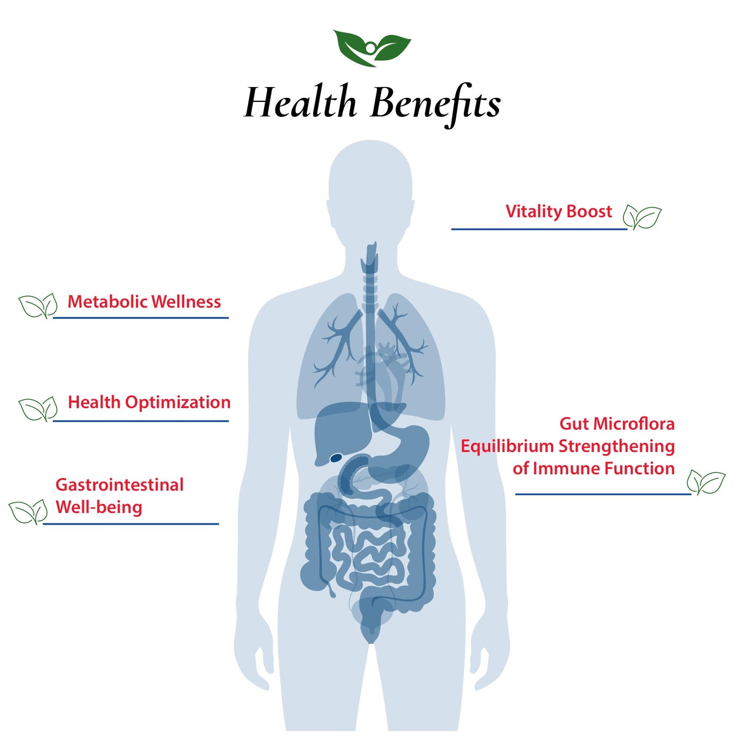 Foods For Gut Lactobacillus Casei Probiotic Powder 3.52 oz