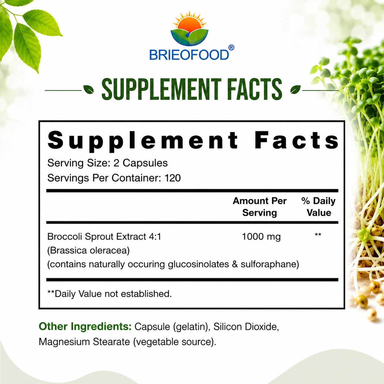 Brieofood Broccoli Sprout Extract 4:1 1000 mg Per Serving 240 Capsules