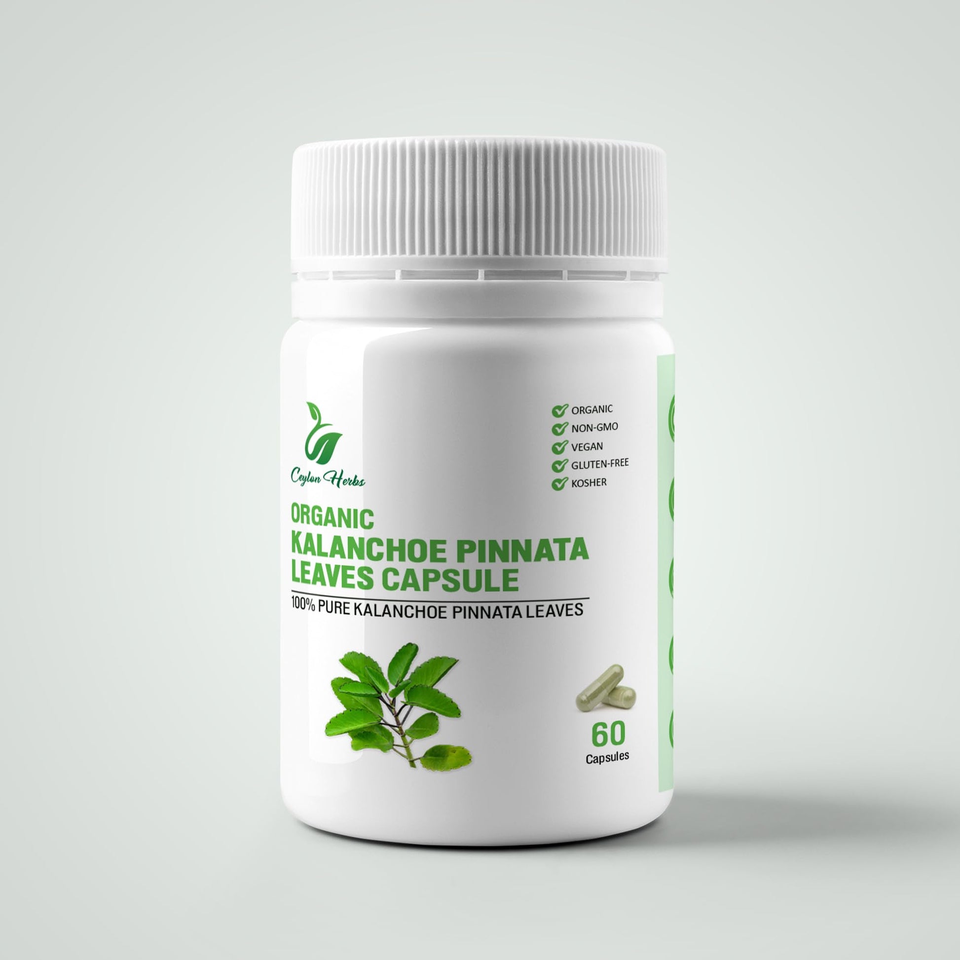Generic Kalanchoe Pinnata Leaves Extract Capsules 60 Count