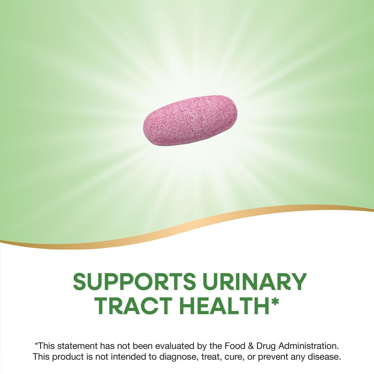 Nature's Way Premium Potency Standardized Cranberry 90% Fruit Solids 120 Tablets