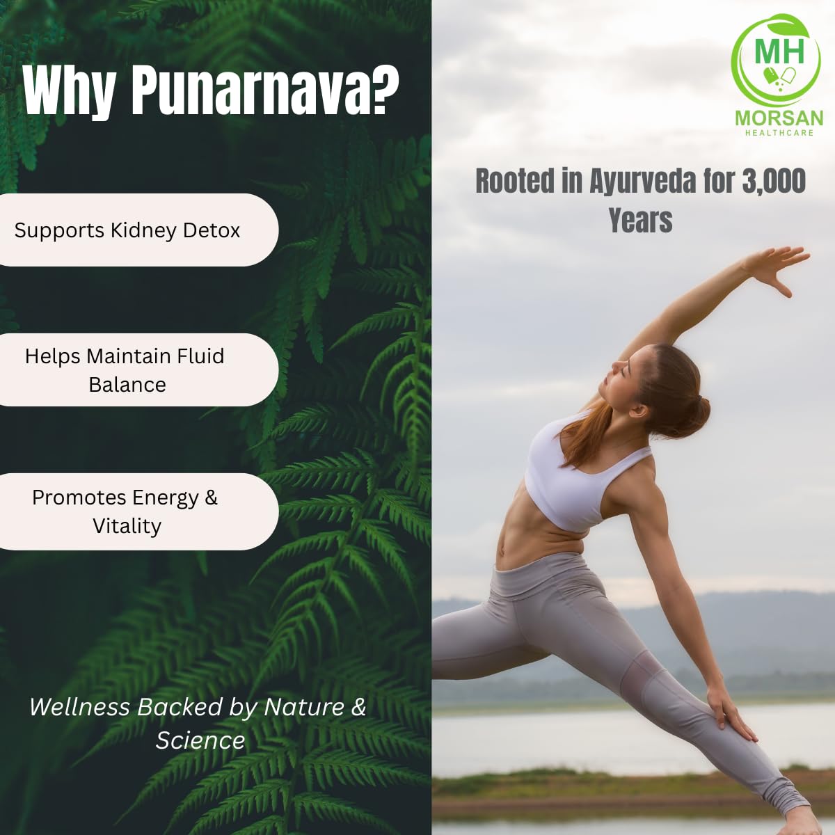 Morsan Healthcare Punarnava (Boerhaavia Diffusa) 500mg Capsules, 120 Count