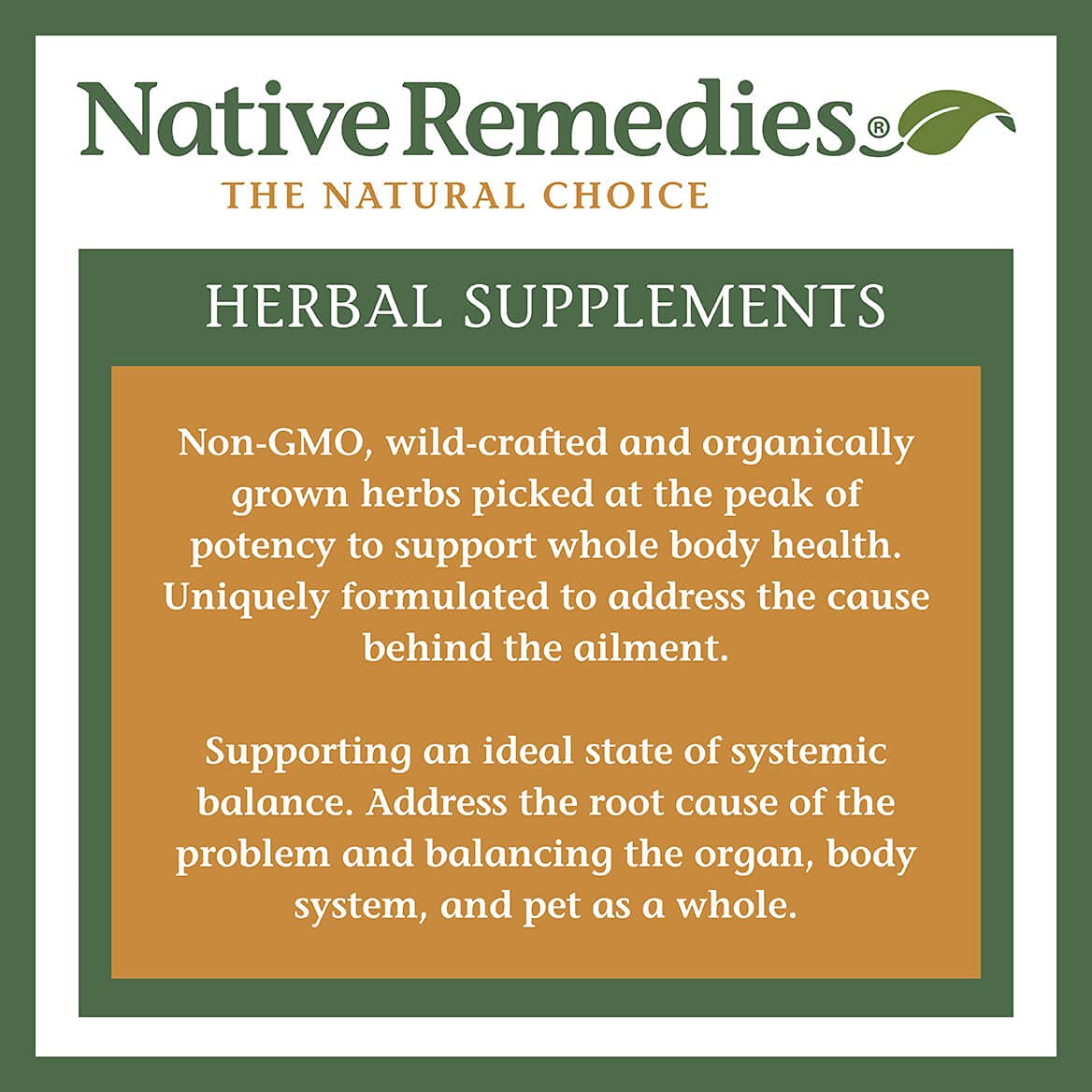 Native Remedies Inflam Dr. Capsule 60 Count