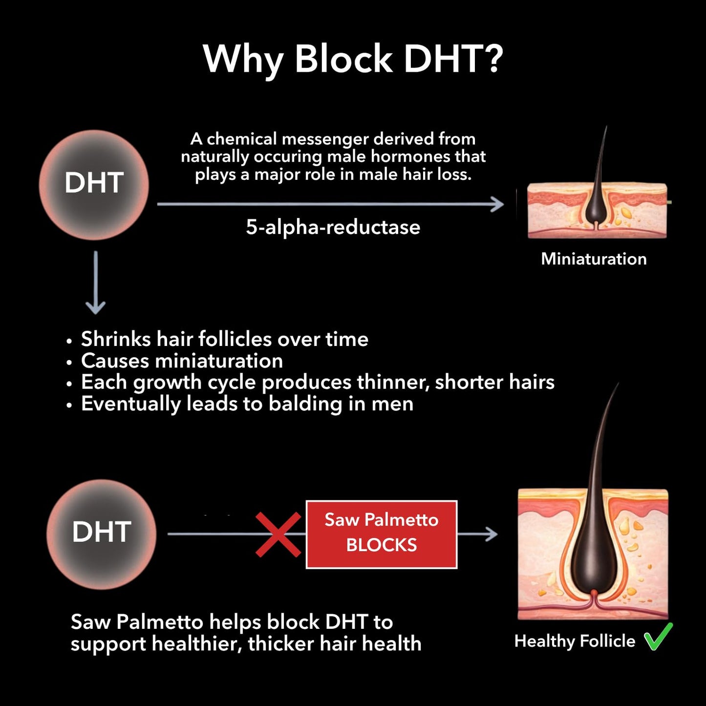 HAVASU NUTRITION DHT Blocker for Men with Biotin 10000mcg, 60 Capsules