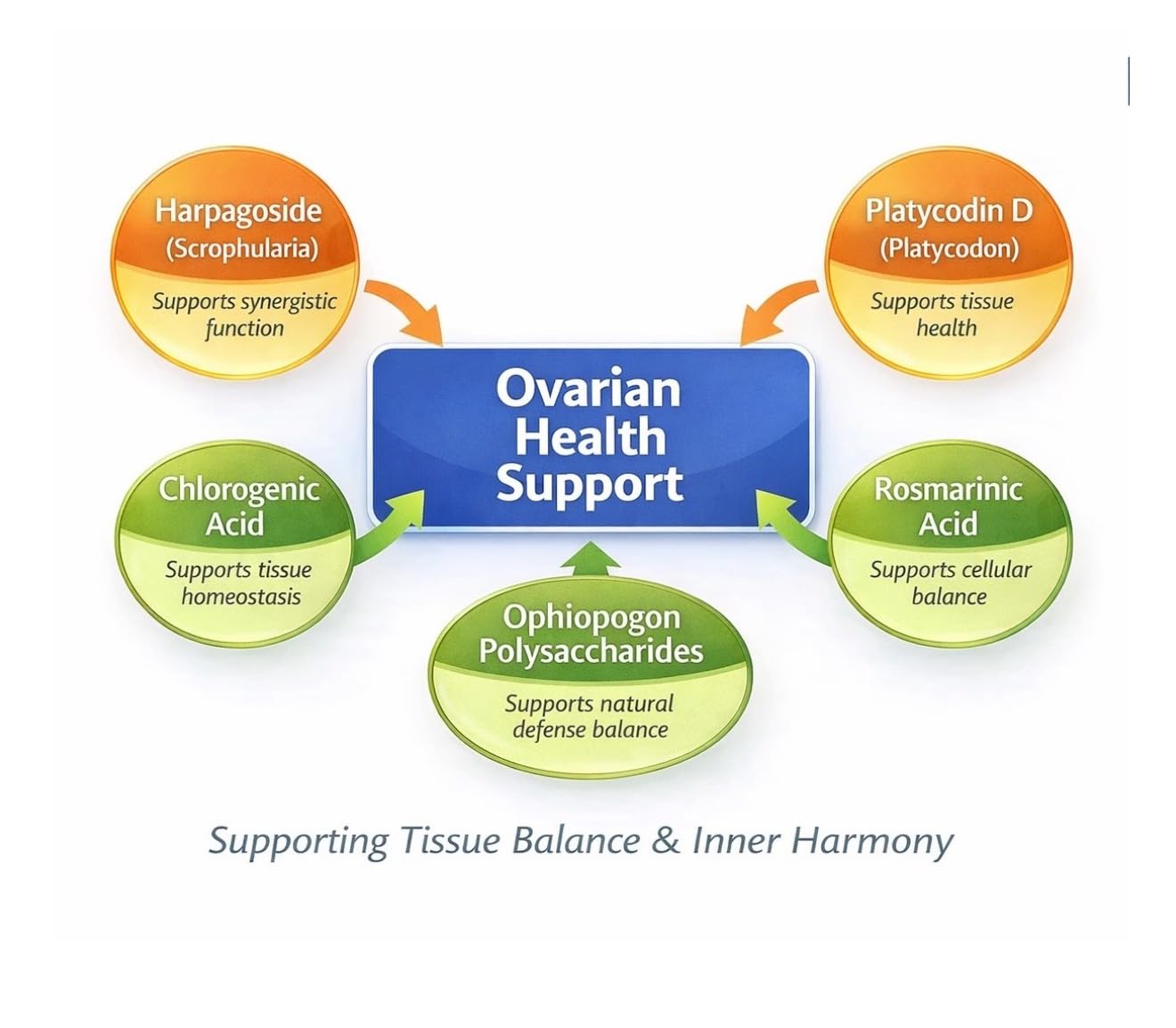 LIG Health Care Ovarian Health Natural Herbal Supplement for Women’s Hormone Balance with Honeysuckle Flower, 60 Tablets
