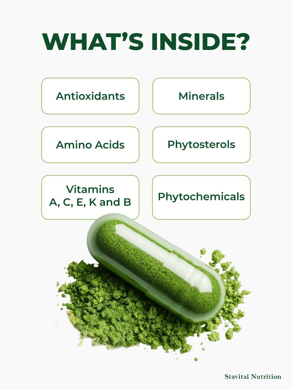 Stayvital Nutrition Moringa Capsules 60 Count