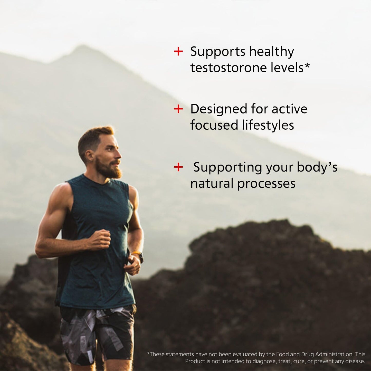 EPIC Testosterone Support Supplement for Men 60 Capsules