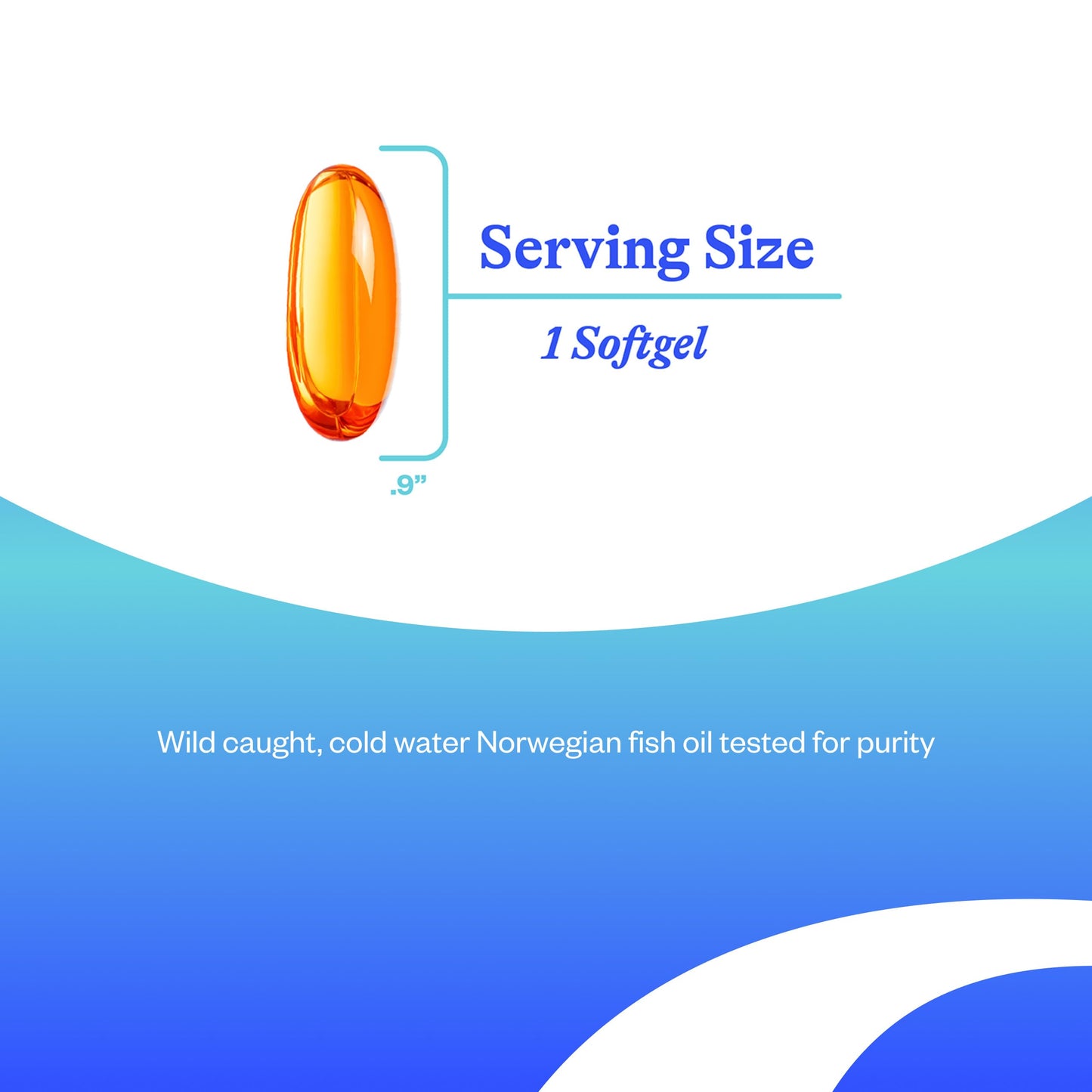 Seeking Health Fish Oil 400mg EPA / 400mg DHA Norwegian Fish Oil Softgel, 60 Count
