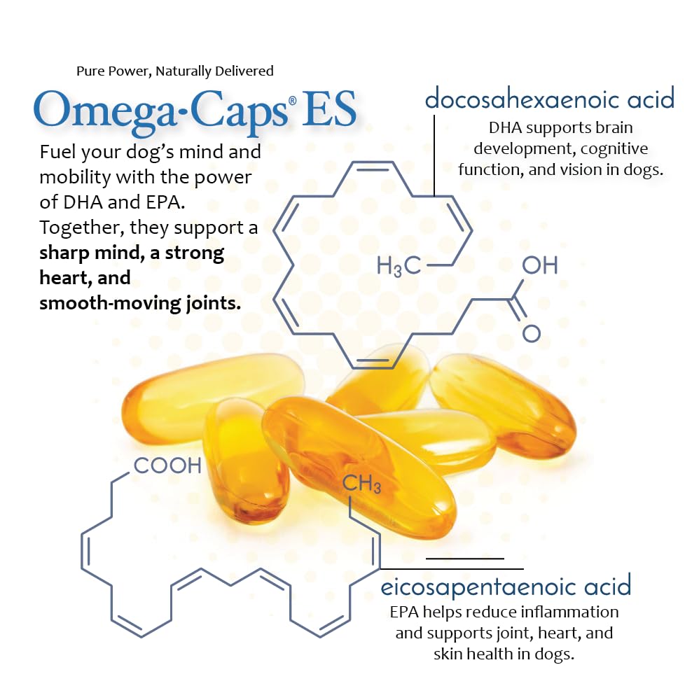 Pet Health Solutions Omega-Caps ES for Large & Giant Dogs 1 Capsule