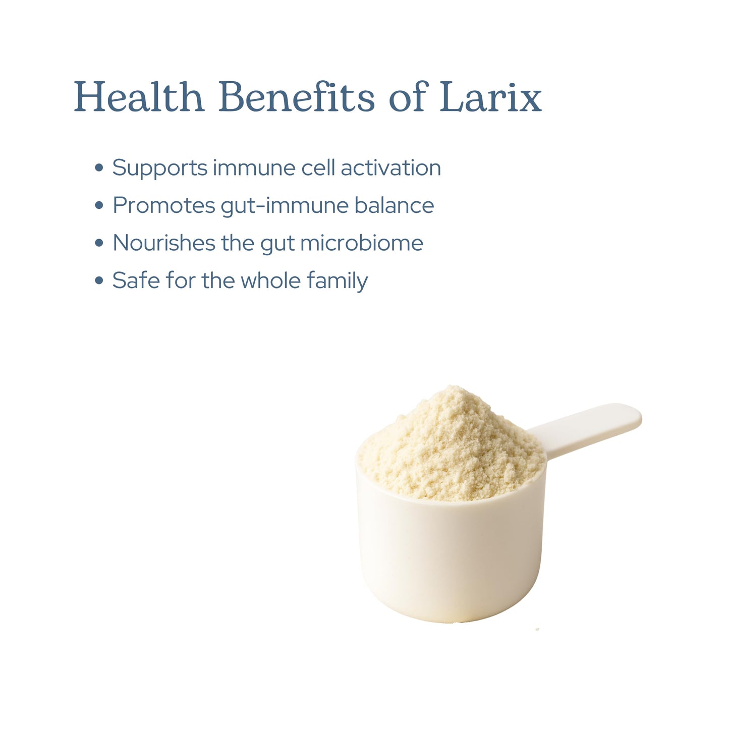 Eclectic Institute Larix Immune Support Powder 12 oz