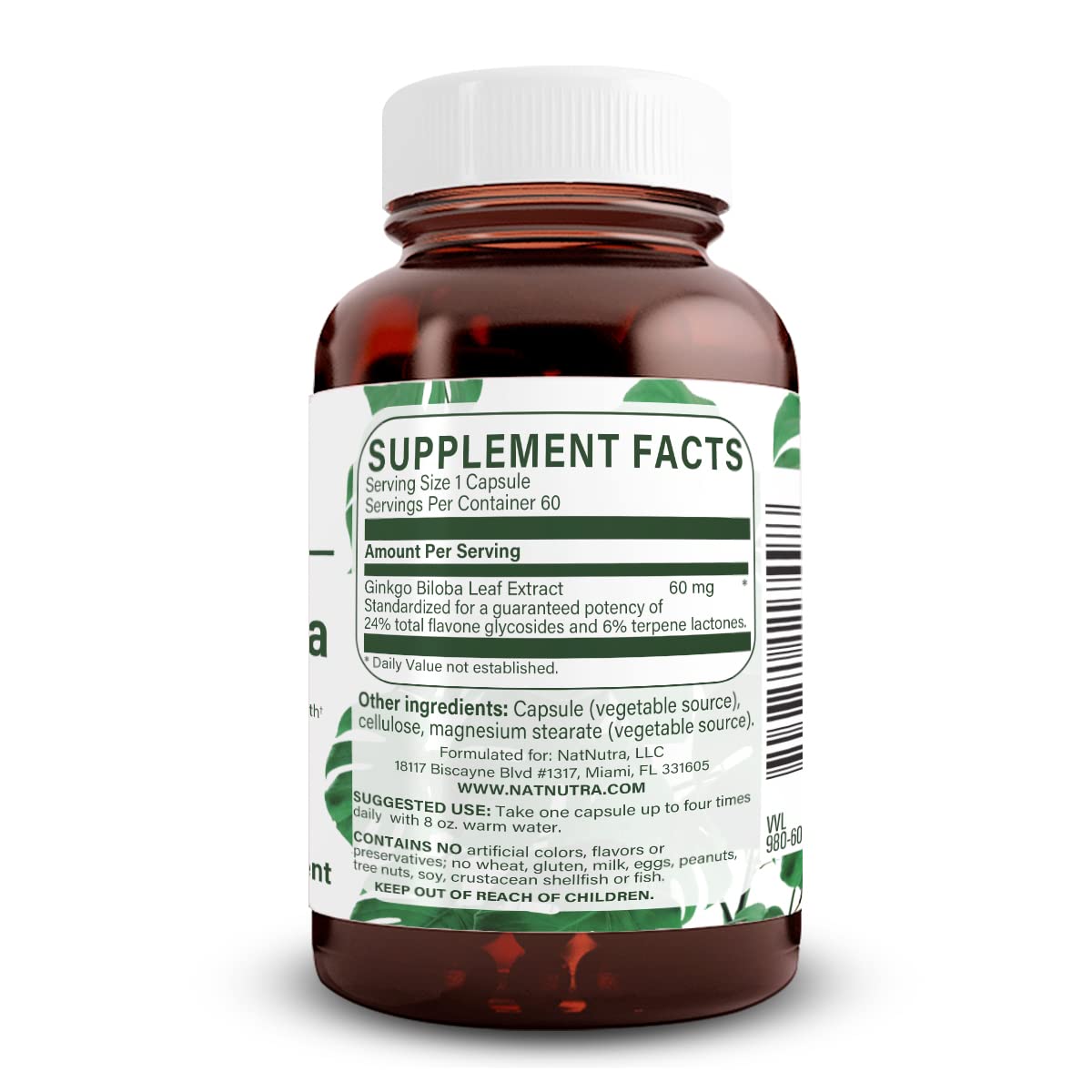 Natural Nutra Ginkgo Biloba Capsules, 60 Count