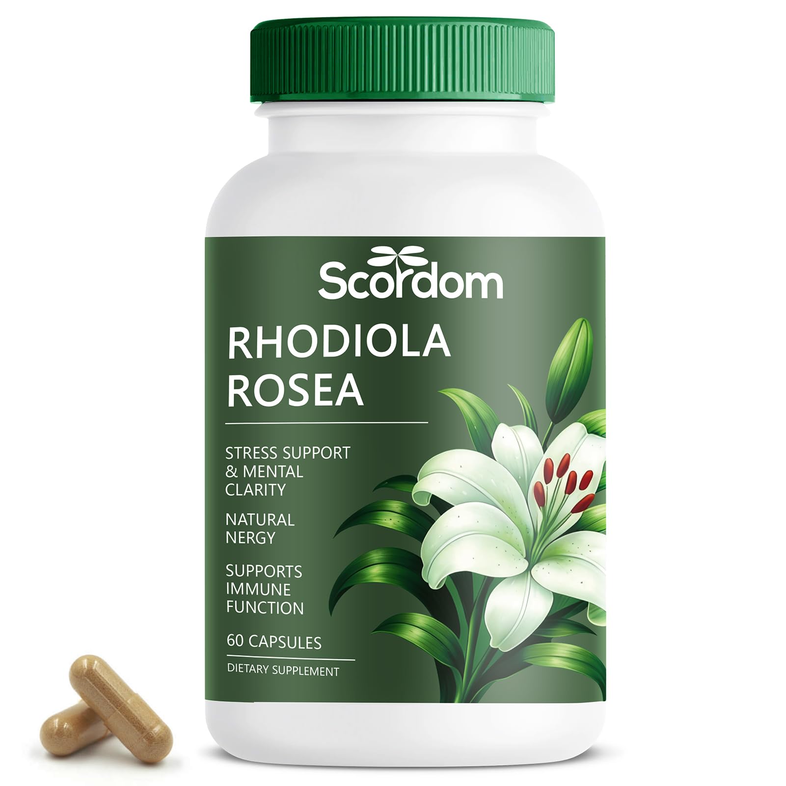 SCORDOM Rhodiola Rosea 500mg Capsule, 1 Count