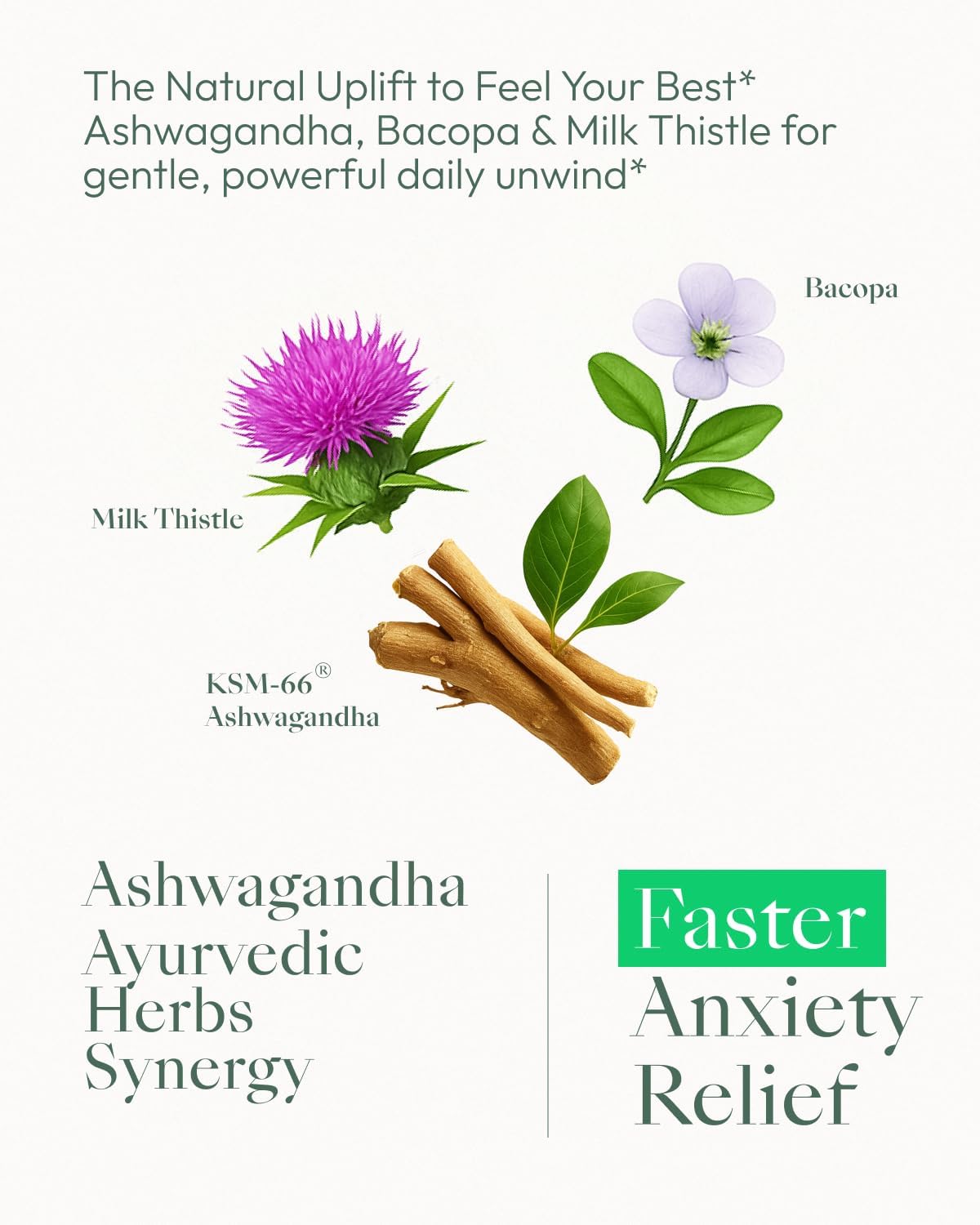 Upbe Ashwagandha Supplements for Women & Men - KSM-66 with Bacopa & Milk Thistle, 60 Capsules