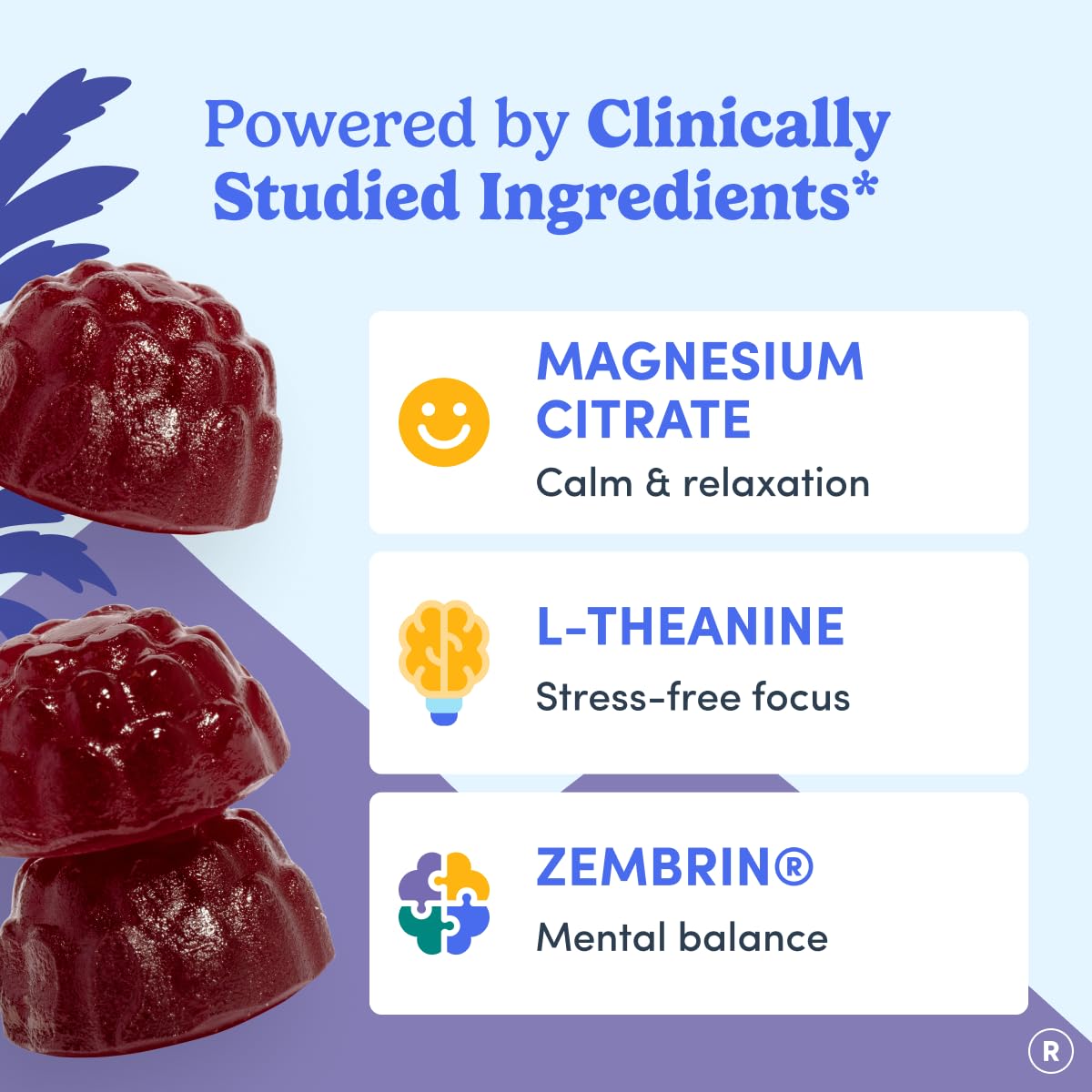 FIRST DAY Men’s Nighttime Reset Calming Magnesium Gummies 60 Count