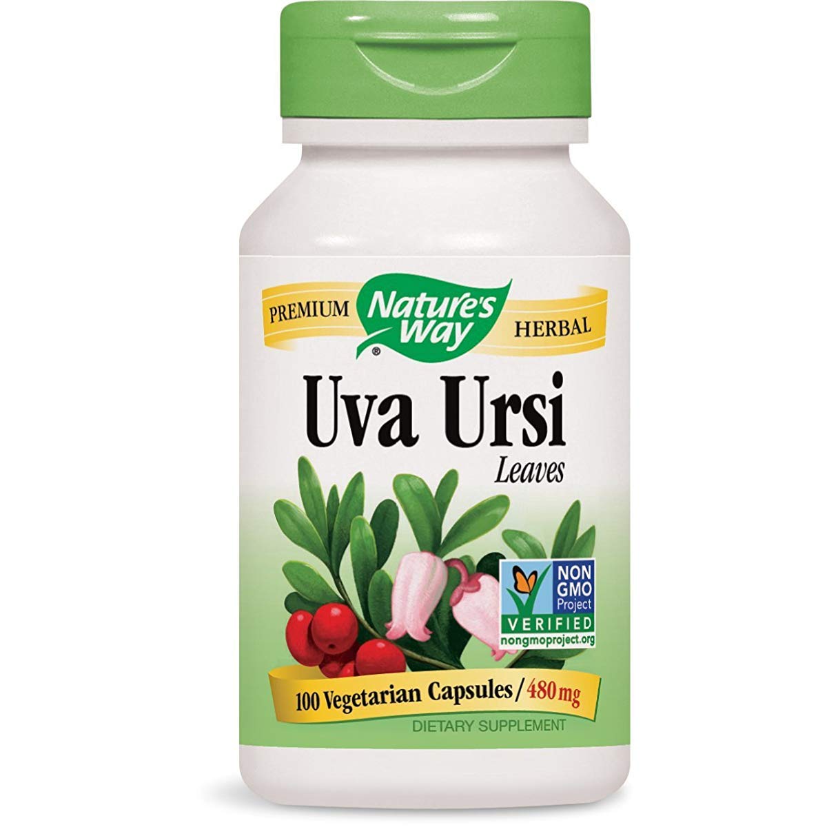 Nature's Way Uva Ursi Leaf Capsule 600 Capsules