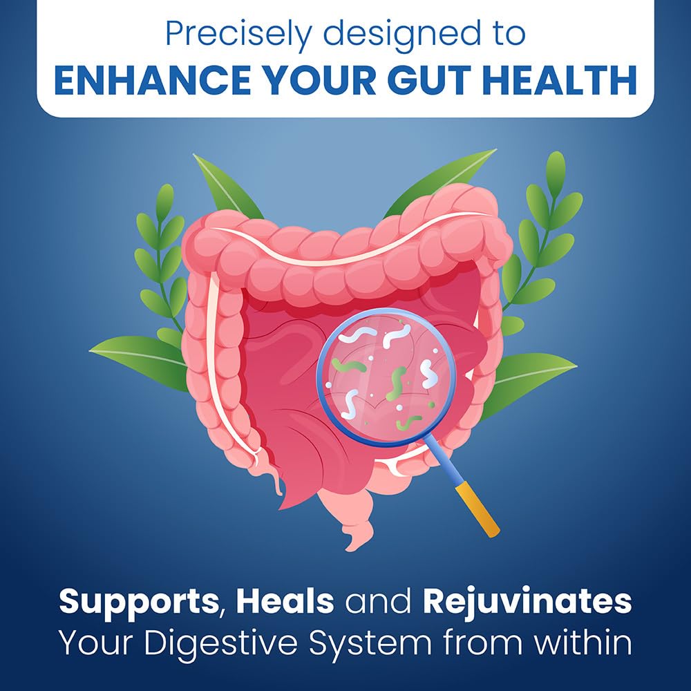 Well of Life Gut Repair Supplement – Digestive Health & Gut Support with Butyrate, L-Glutamine & Zinc Carnosine – Gut Lining Support Capsules, 90 Capsules