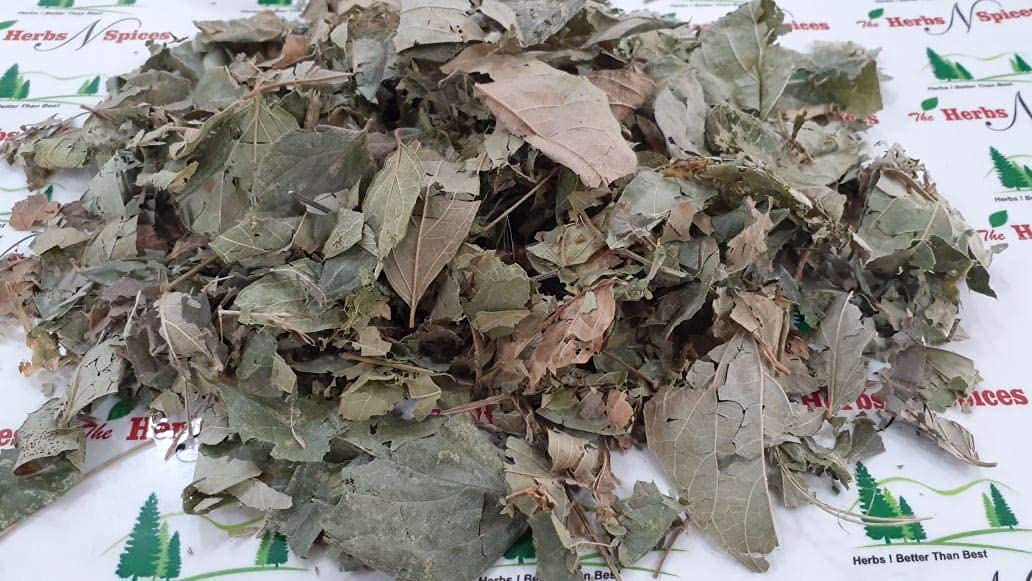 Metrol Parijat Leaves Powder Nyctanthes Arbor-tristis (Night Jasmine) - 3.5274