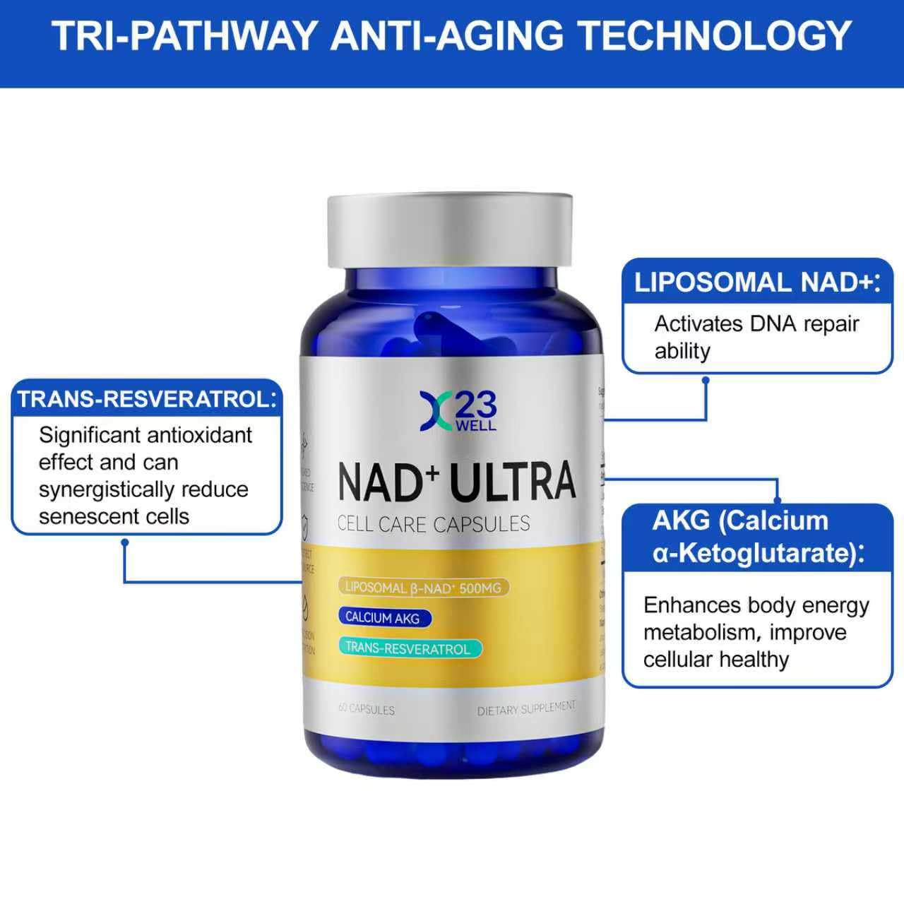 23WELL NAD+ Ultra Cell Care Capsules with Liposomal NAD+ Calcium Alpha Ketoglutarate & Trans-Resveratrol, 60 Capsules